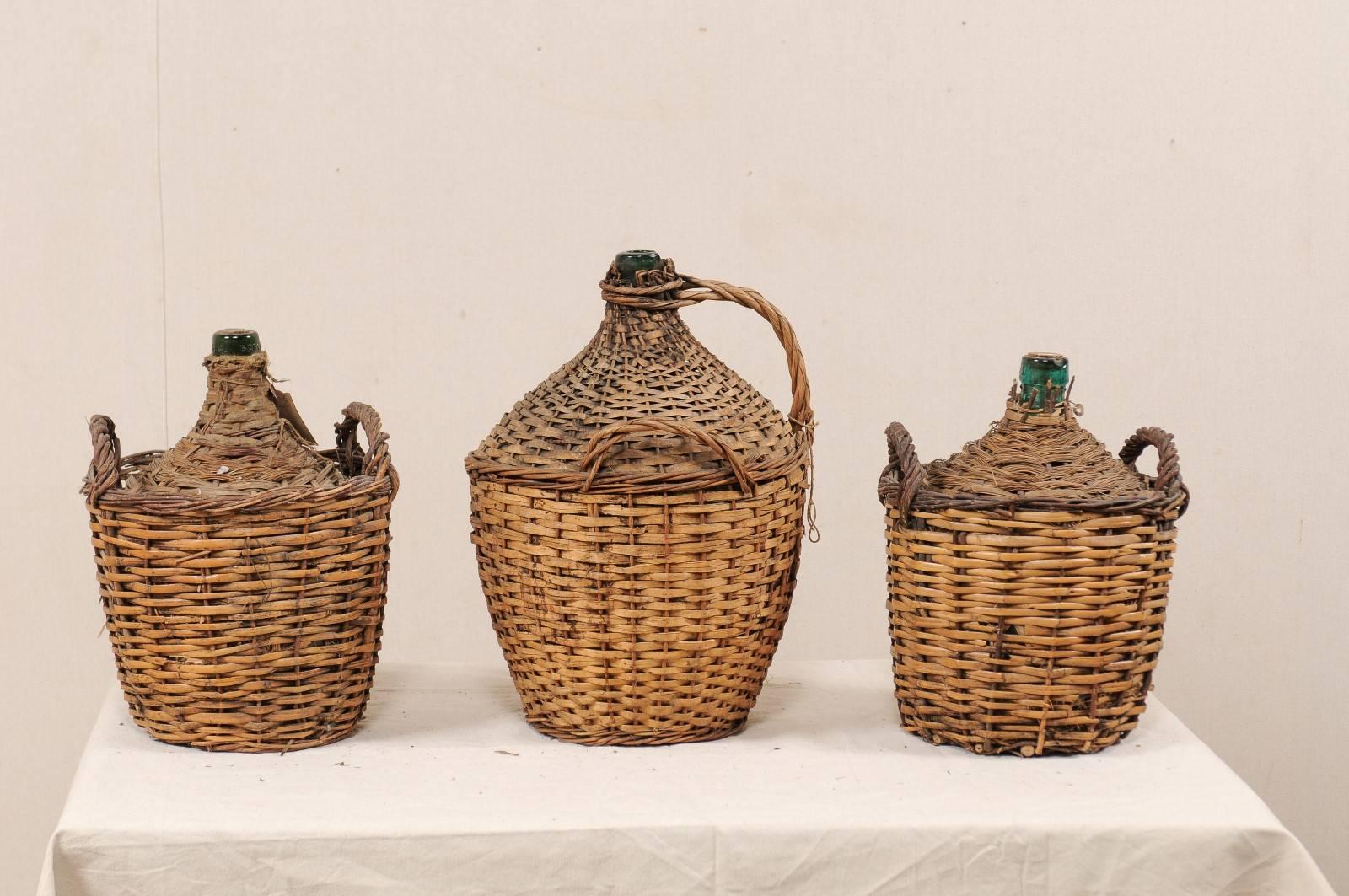 Rustic Set of Three French Midcentury Vintner Woven Baskets with Demijohn Wine Bottles For Sale