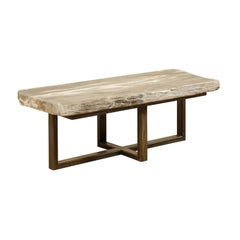 Petrified Wood Slab Bench or Coffee Table with Modern Base