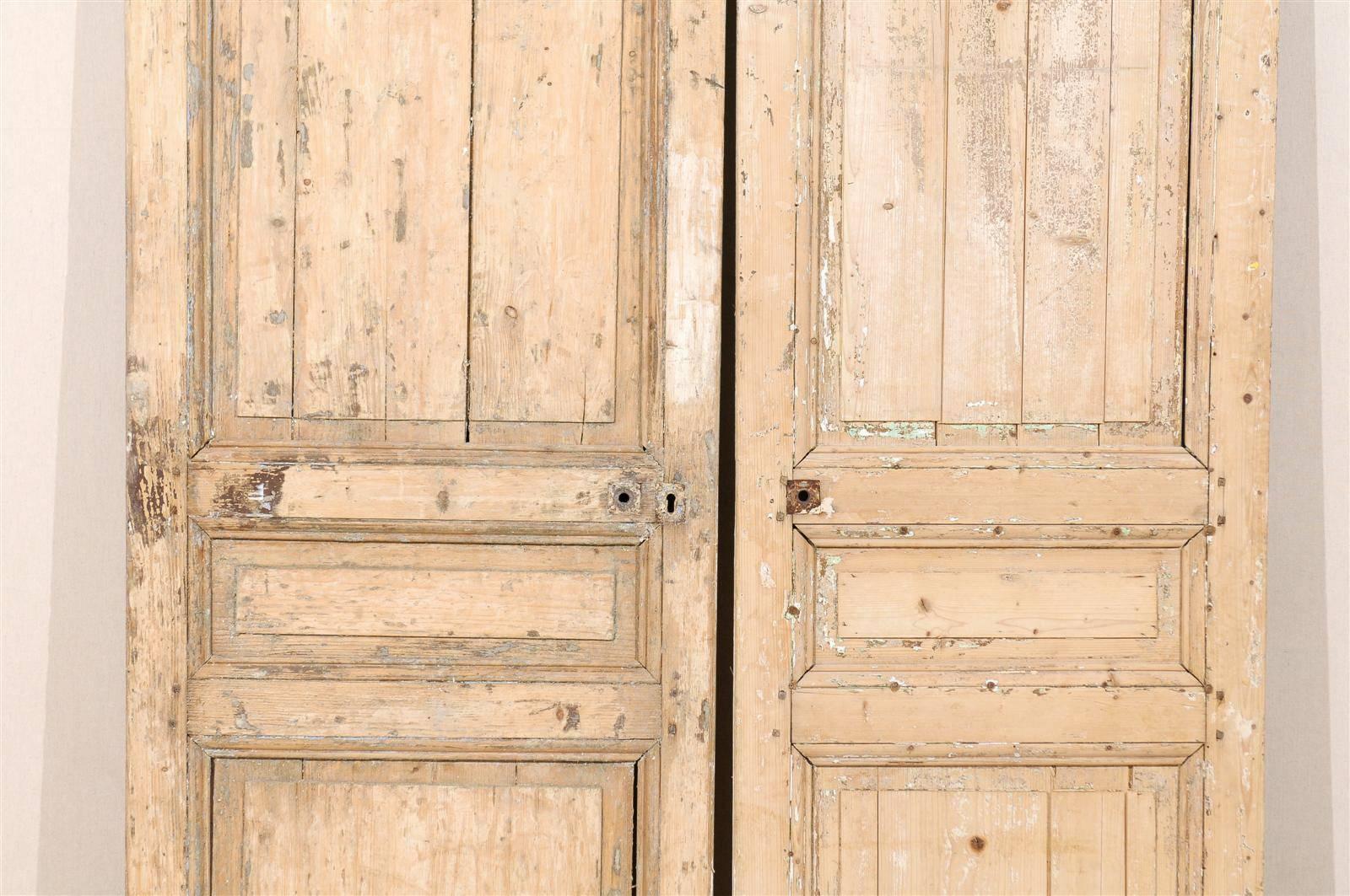 Pair of 19th Century French Wooden Doors 2