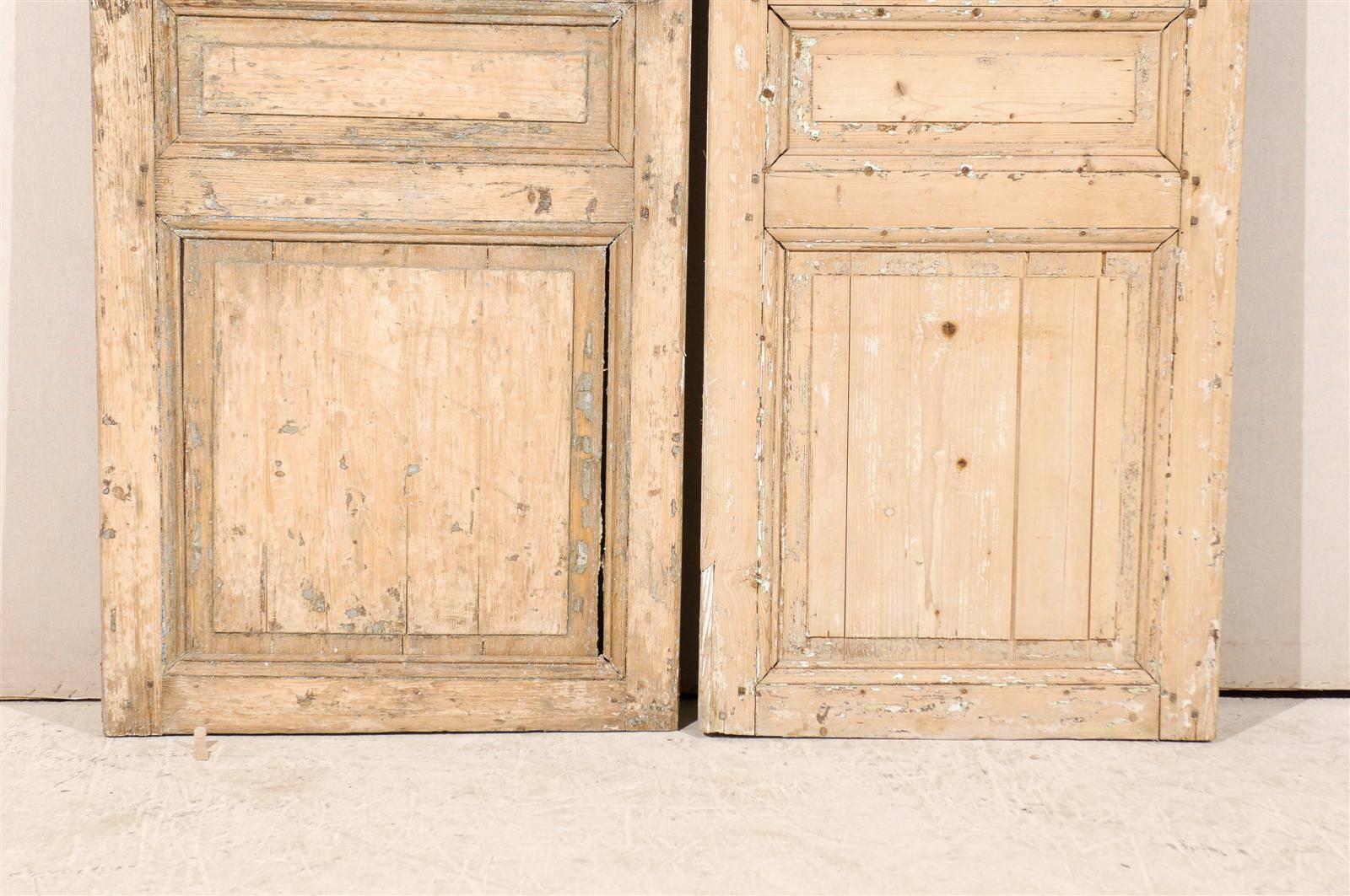 Pair of 19th Century French Wooden Doors 3