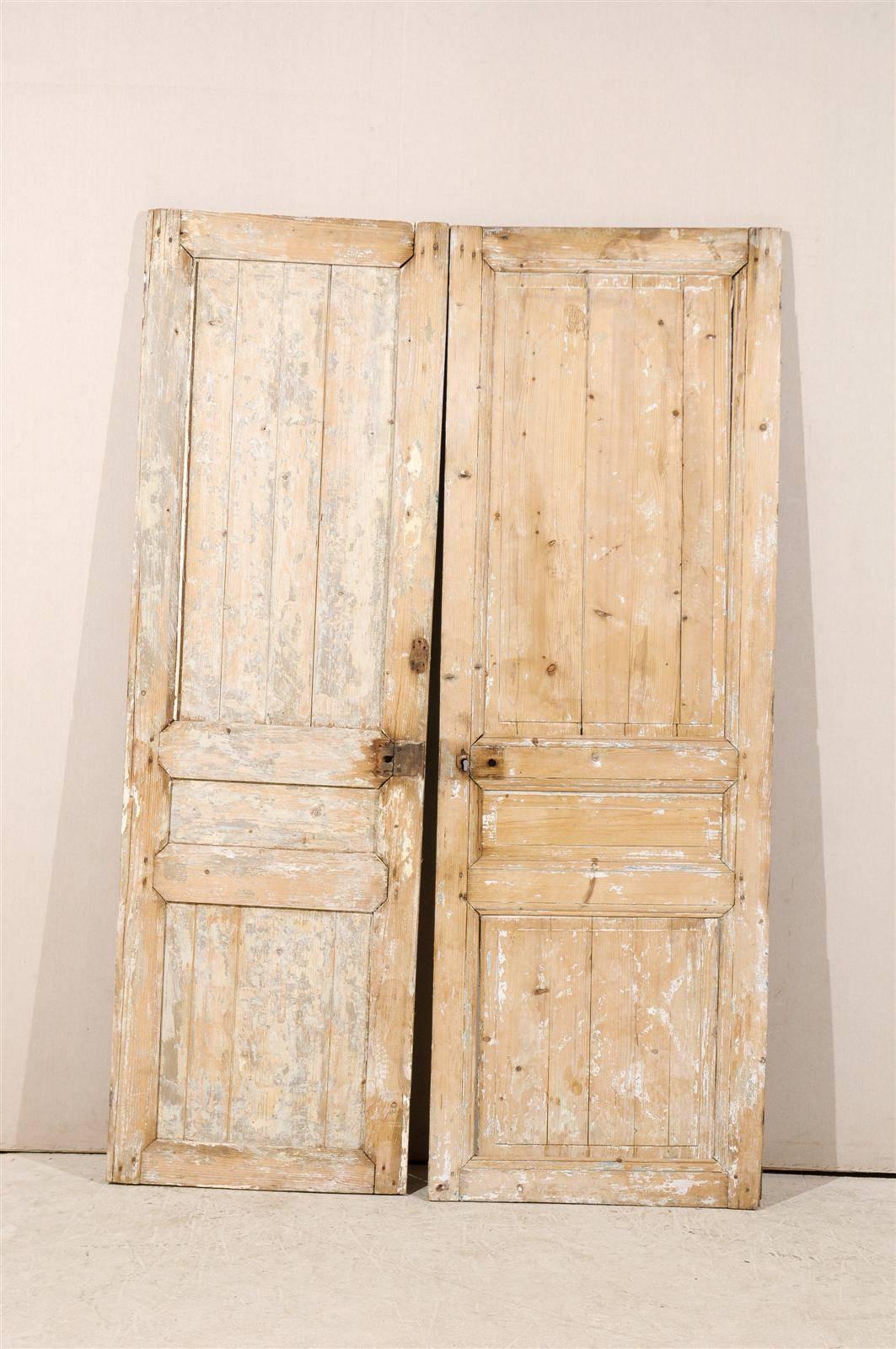 Pair of 19th Century French Wooden Doors 4