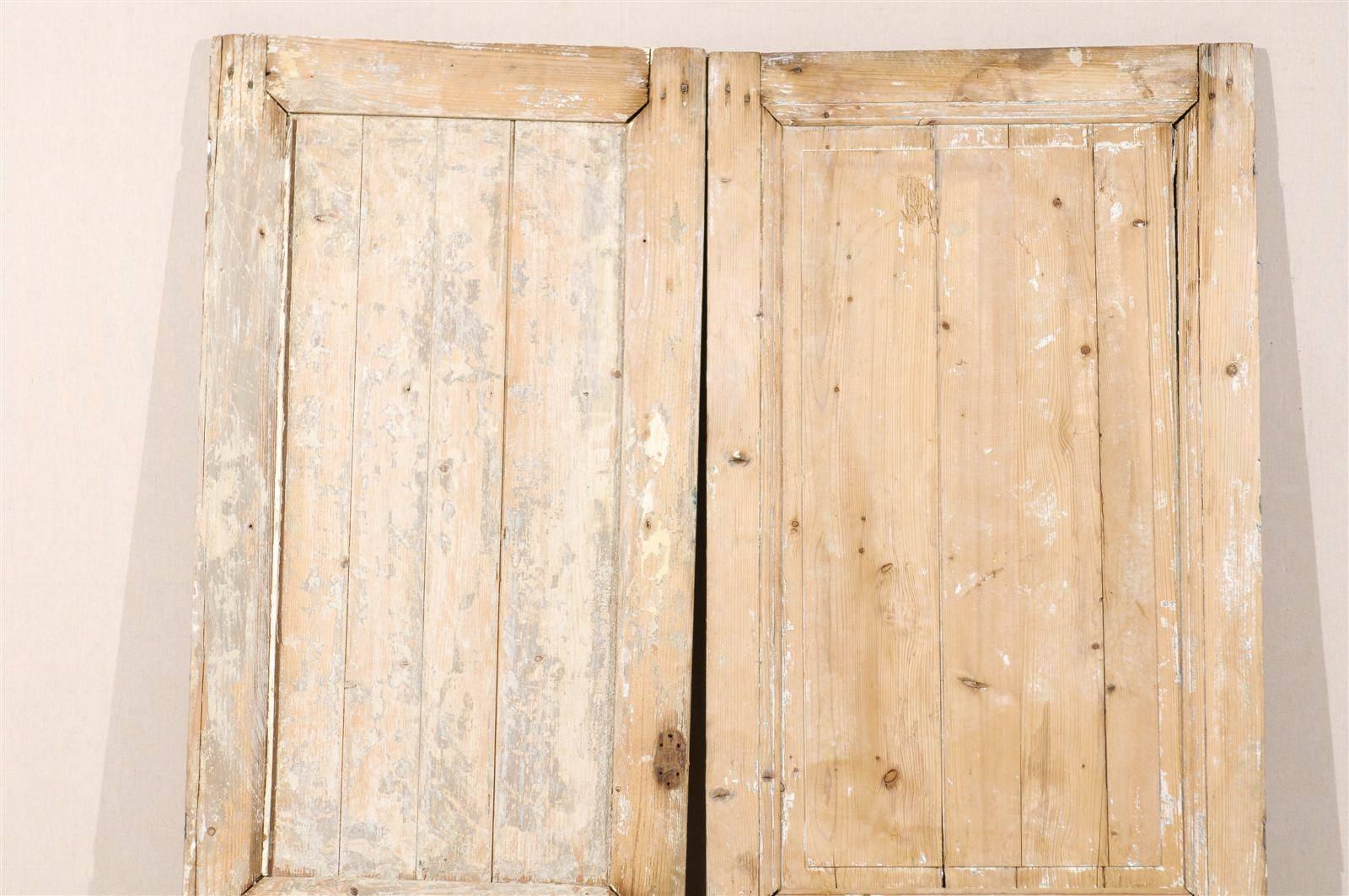 Pair of 19th Century French Wooden Doors 5