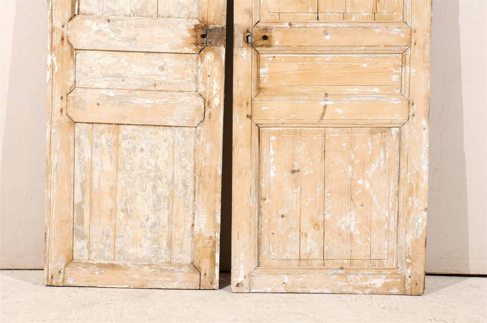 Pair of 19th Century French Wooden Doors 6