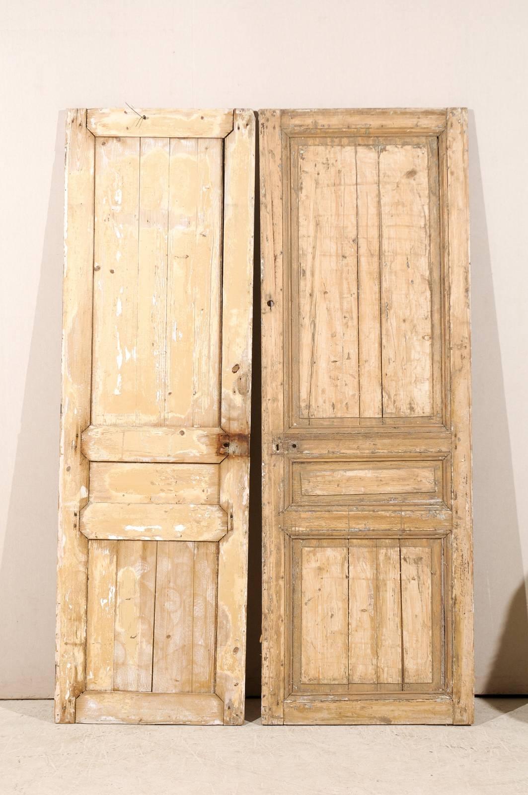 Pair of French 19th Century Wooden Doors 4