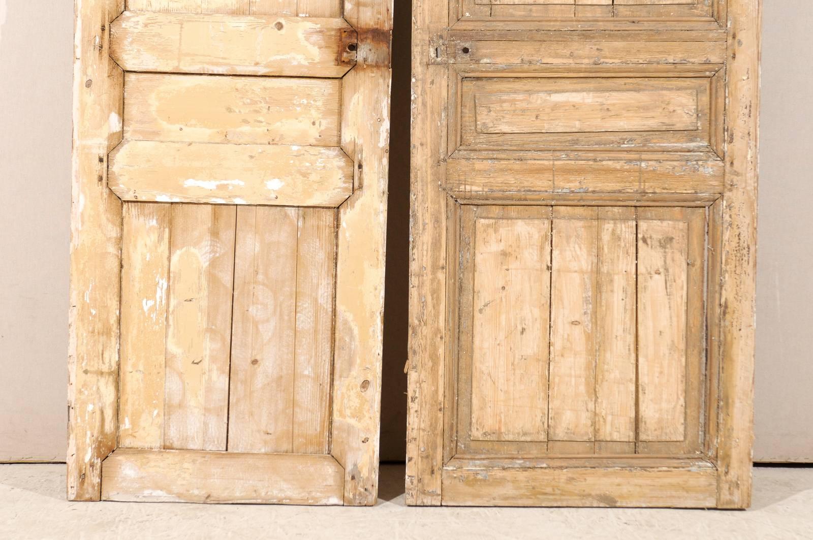 Pair of French 19th Century Wooden Doors 5
