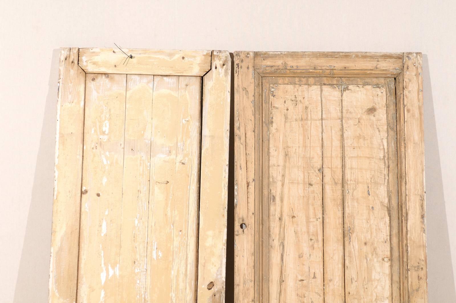 Pair of French 19th Century Wooden Doors 7