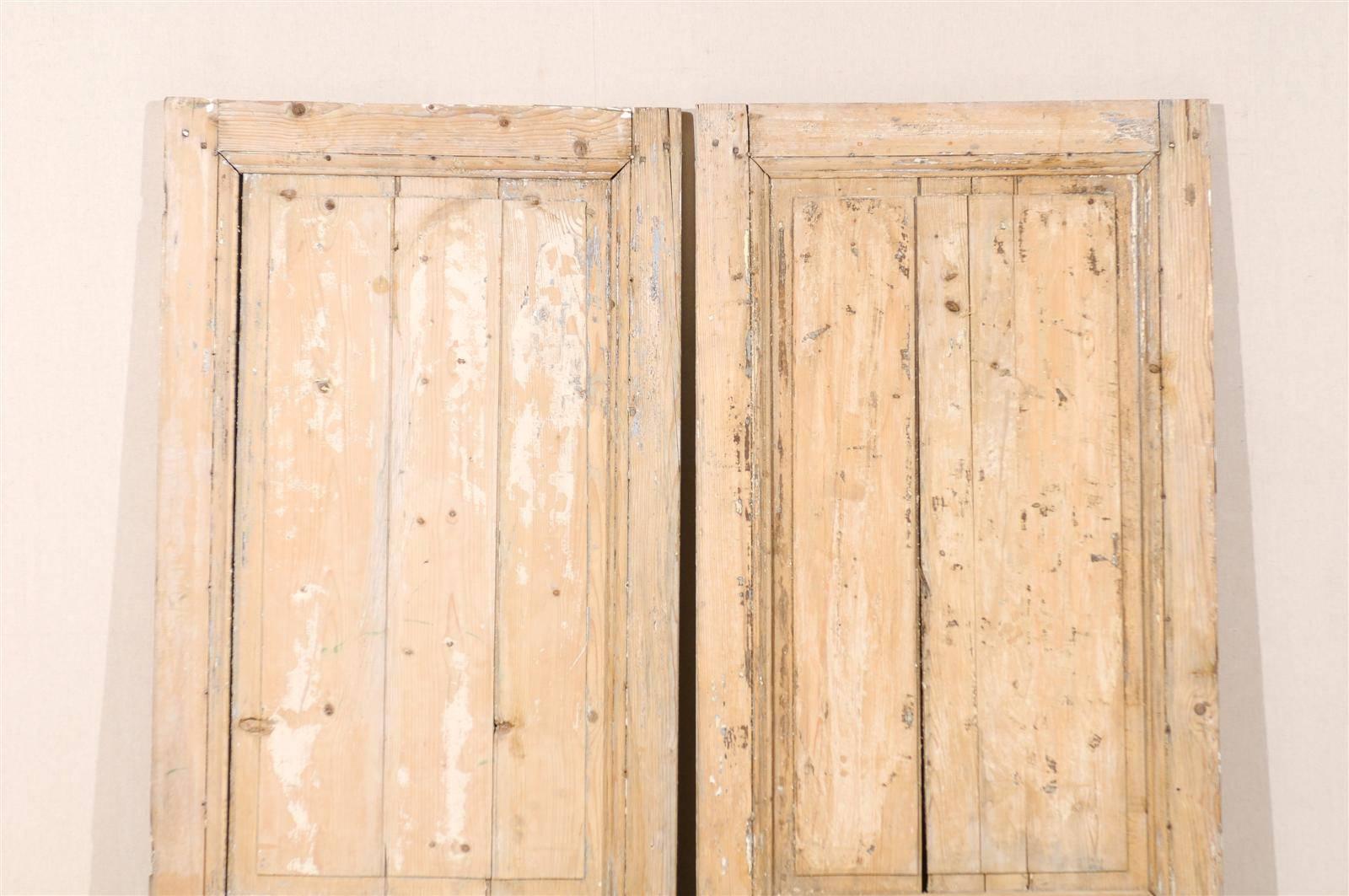 Pair of French 19th Century Wooden Doors 1