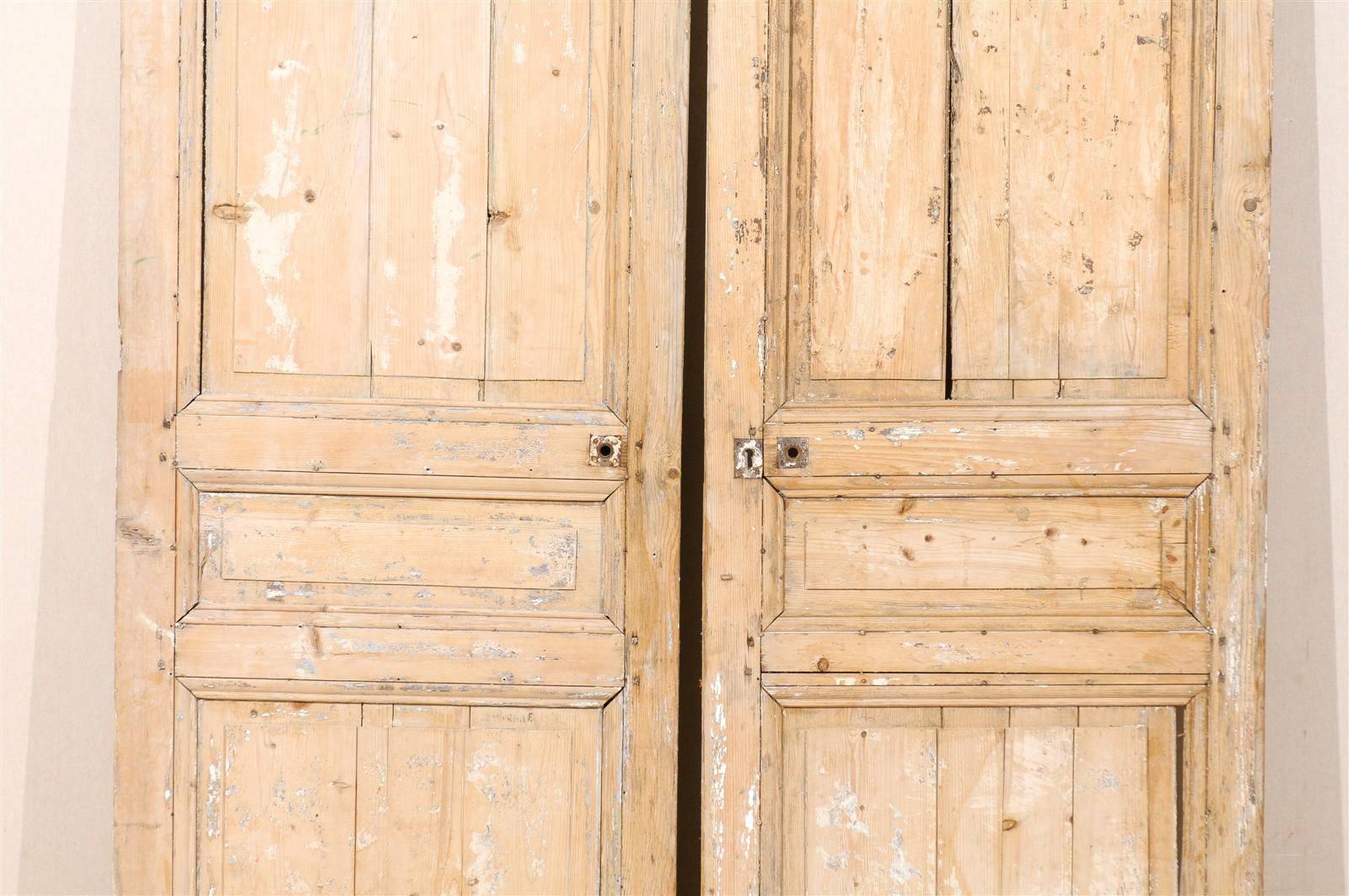 Pair of French 19th Century Wooden Doors 2