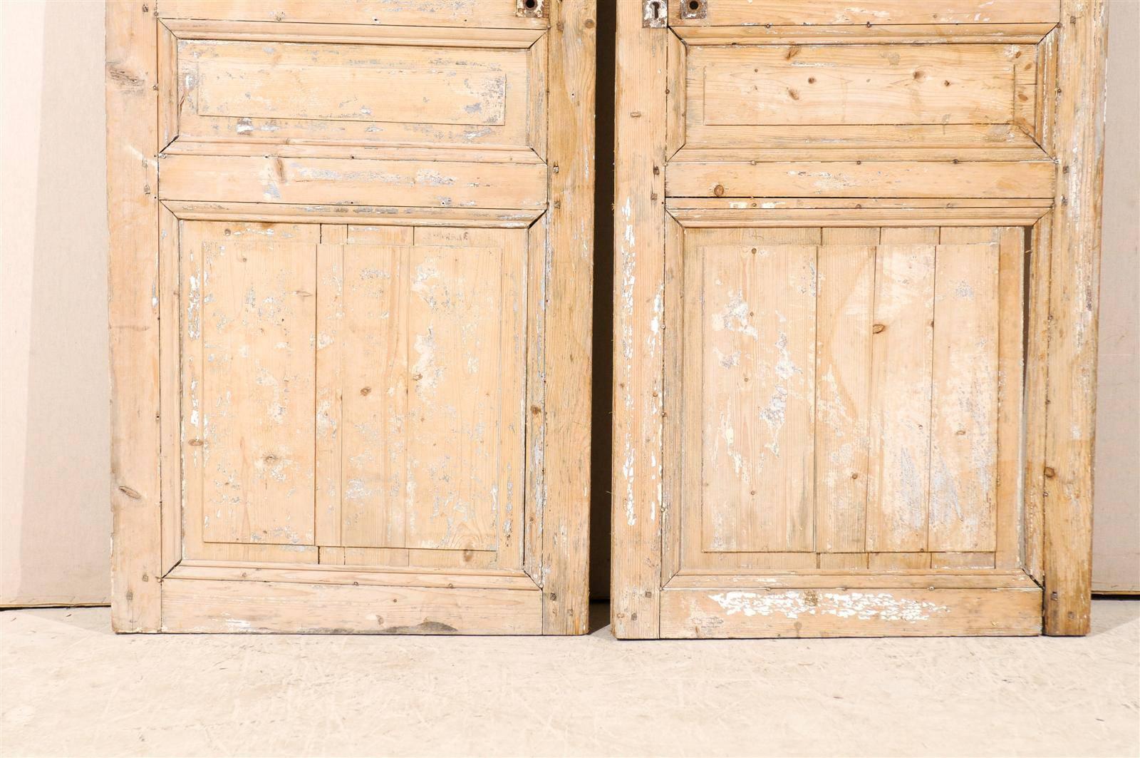 Pair of French 19th Century Wooden Doors 3