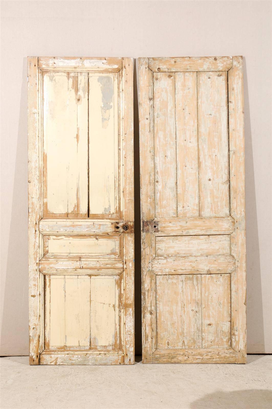Pair of French 19th Century Wooden Doors 4
