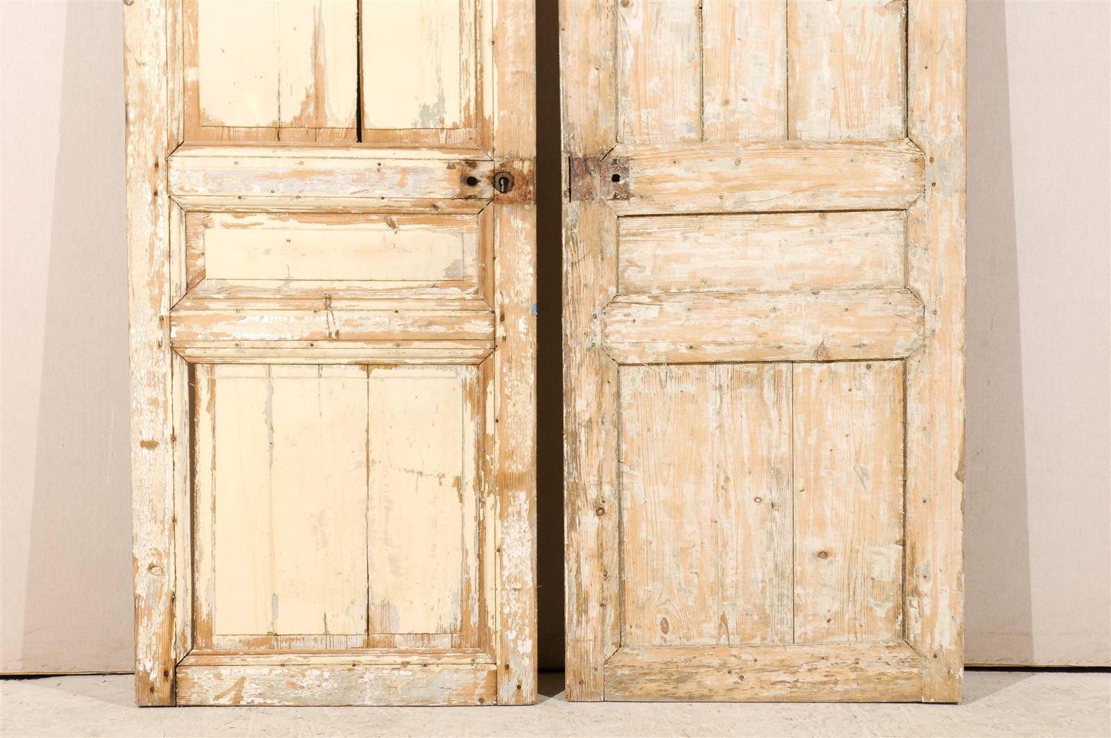 Pair of French 19th Century Wooden Doors 6