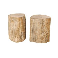 Pair of Light Color Petrified Wood Drinks Tables