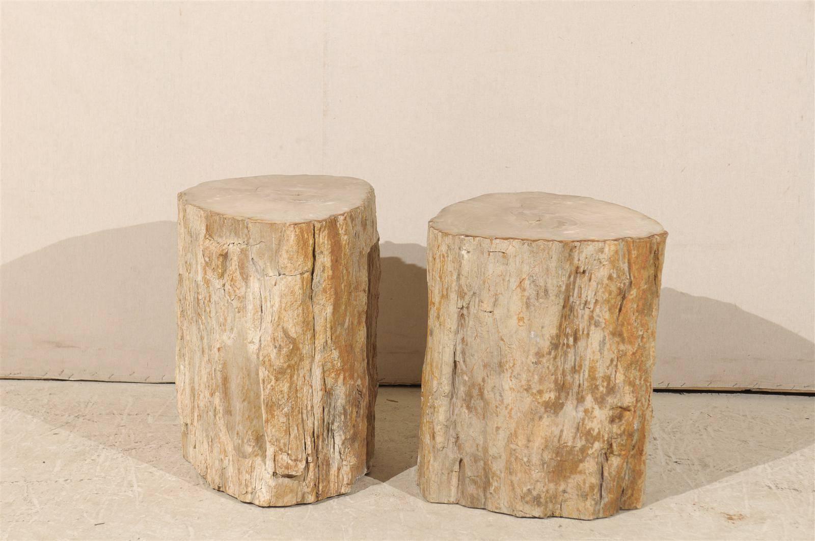 A pair of light color petrified wood drinks tables.

Petrified wood is a fossil. It is the result of a tree or tree-like plant having completely transitioned to stone. All the organic materials have been replaced with minerals. The petrifaction