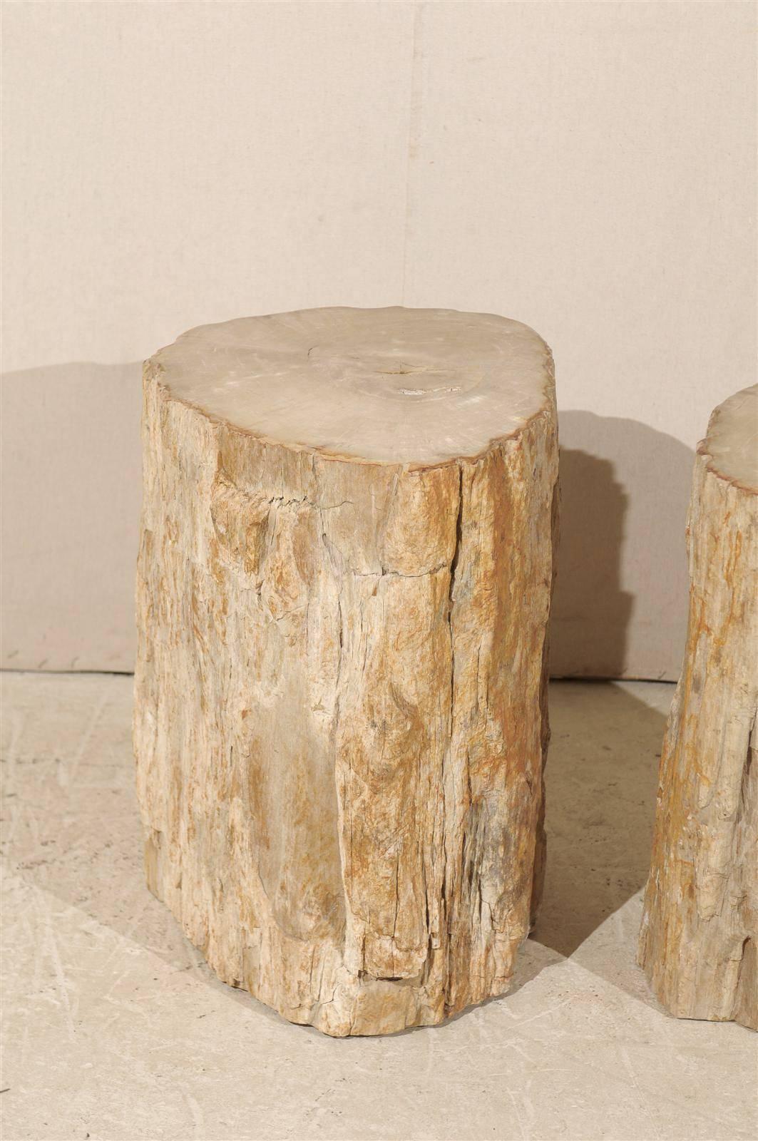Pair of Light Color Petrified Wood Drinks Tables 5