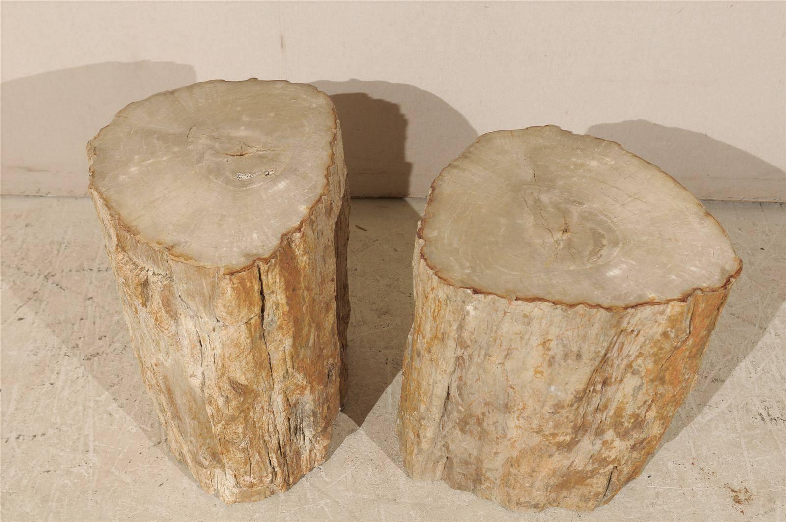Pair of Light Color Petrified Wood Drinks Tables 3