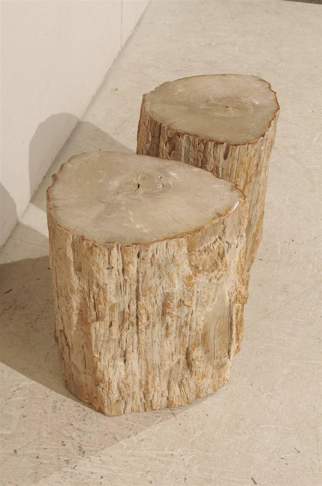 Pair of Light Color Petrified Wood Drinks Tables 1