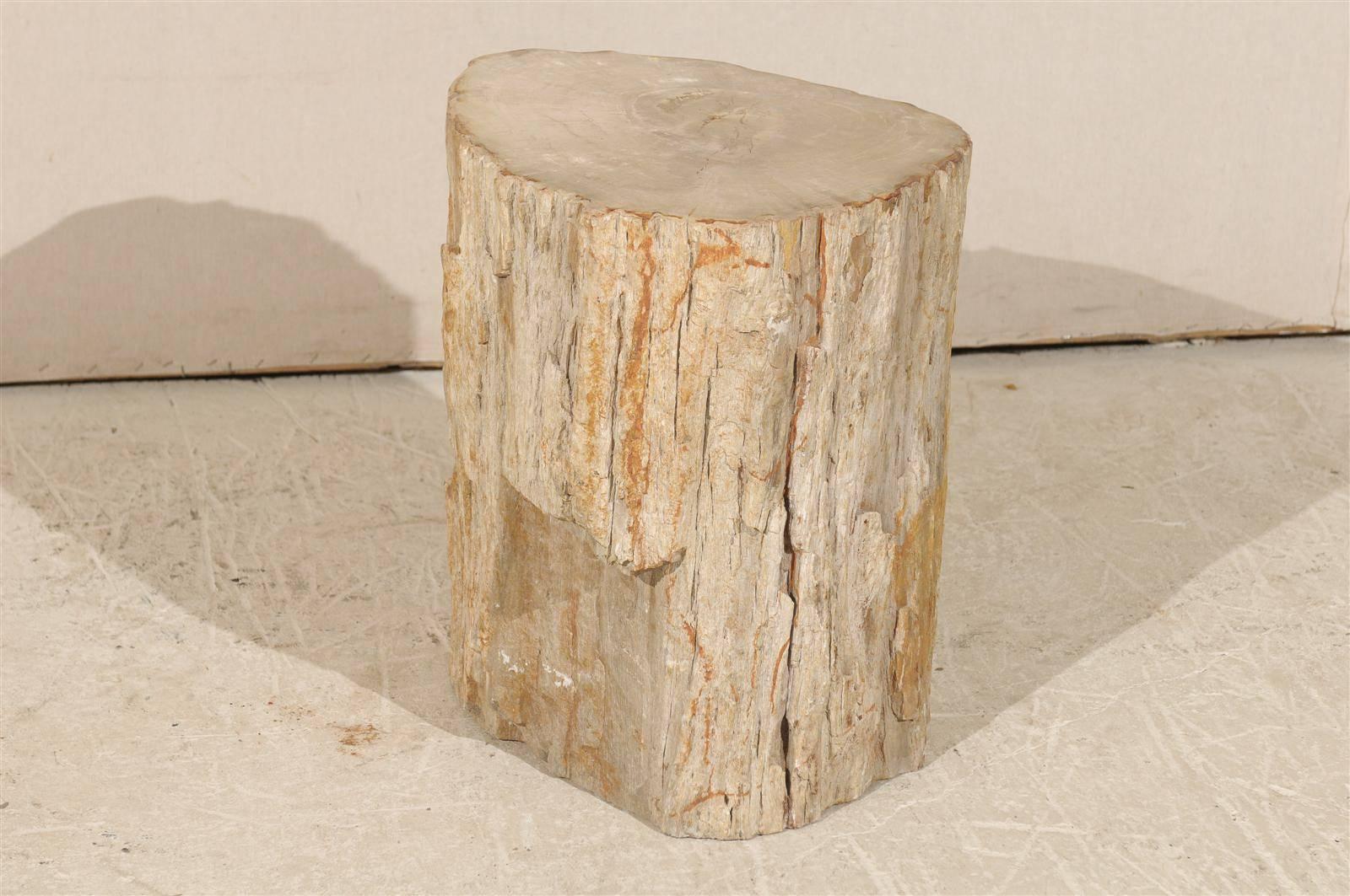 Indonesian Pair of Light Color Petrified Wood Drinks Tables