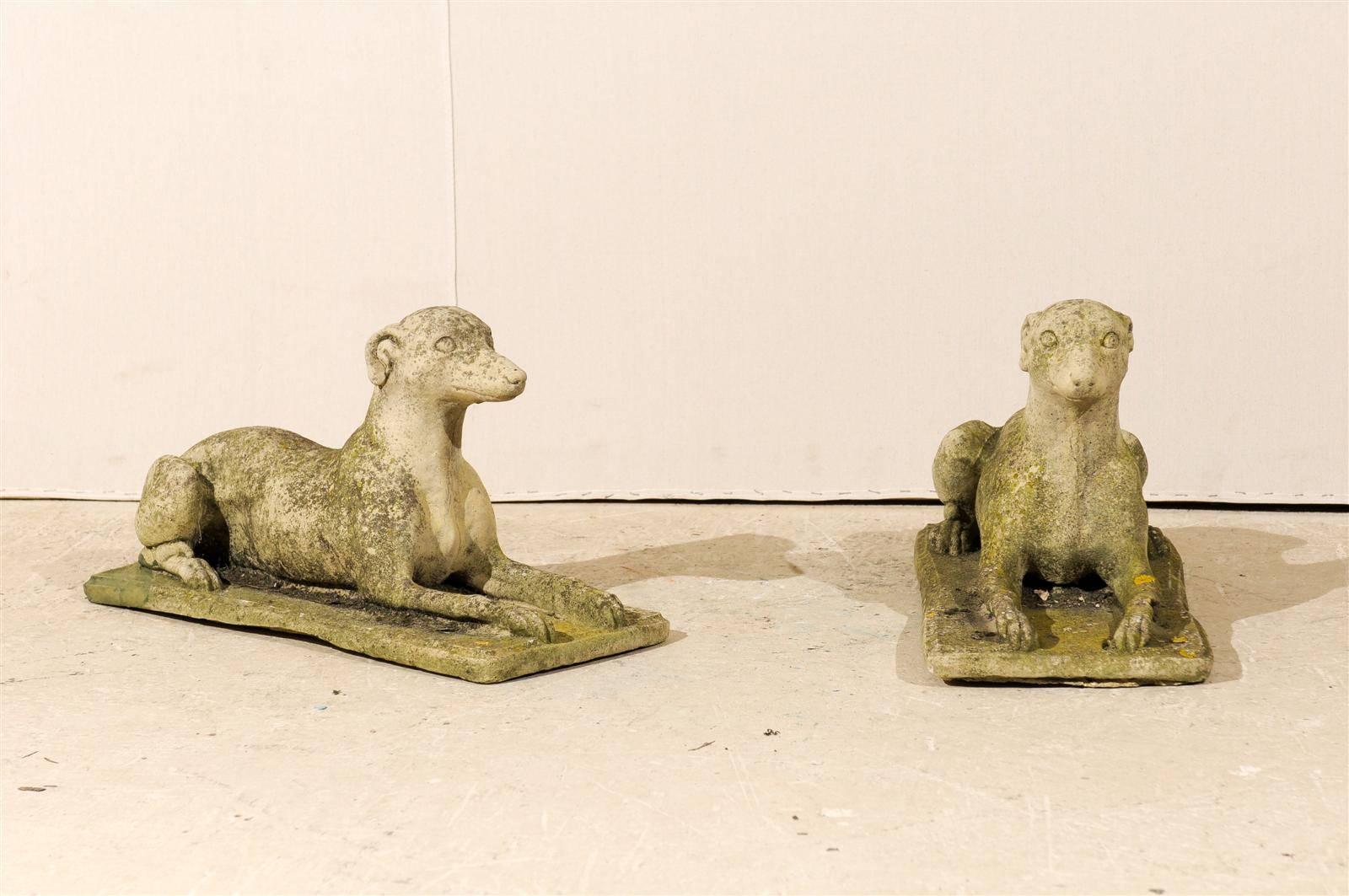 A handsome pair of greyhound statues. This Italian pair of cast stone greyhound sculptures feature the dogs in a sphinx position resting on their base but alert. Nice aging and patina on both as well. They are more of a grey color with darker spots