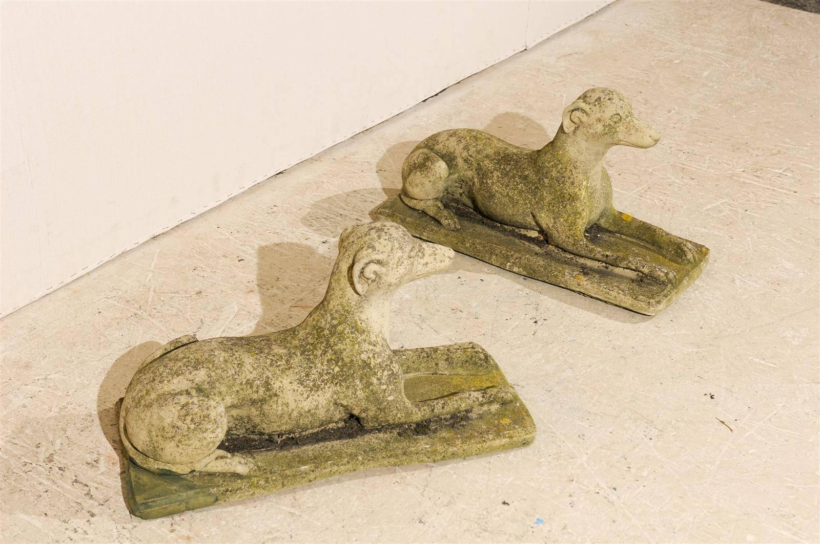 A Pair of Italian Cast Stone Medium Sized Greyhound Statues In Good Condition In Atlanta, GA