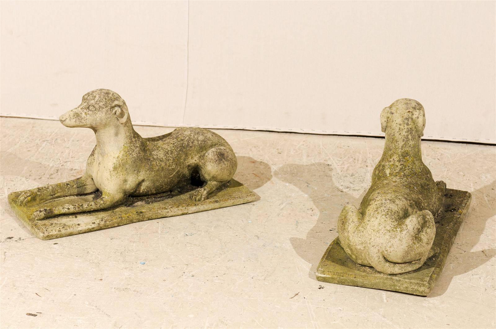 20th Century A Pair of Italian Cast Stone Medium Sized Greyhound Statues