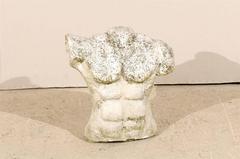 French Muscular Nude Male Torso from the 1960s