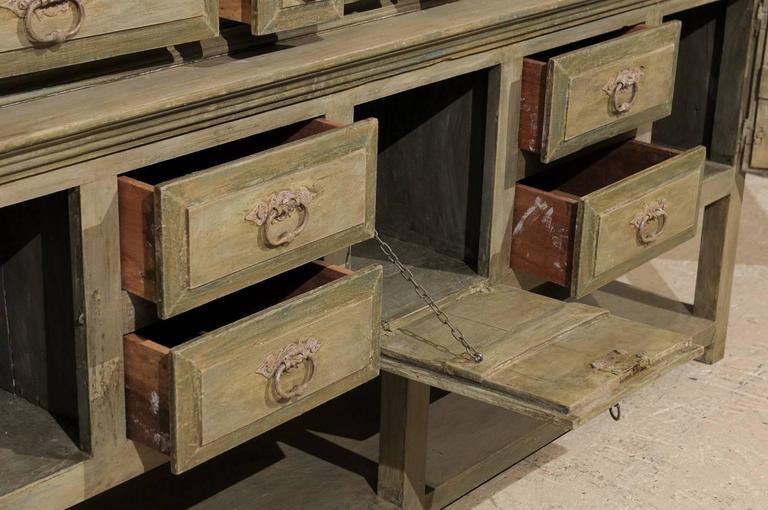 Brazilian Painted Wood in GreyGreen Color with Ample Storage