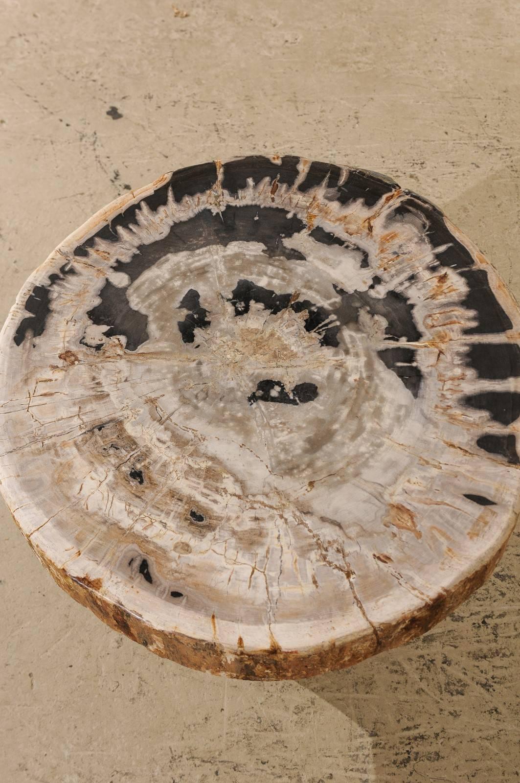 Bois fossilisé Table basse à piédestal en bois pétrifié à bords vifs avec plateau de forme ronde pour la plupart en vente