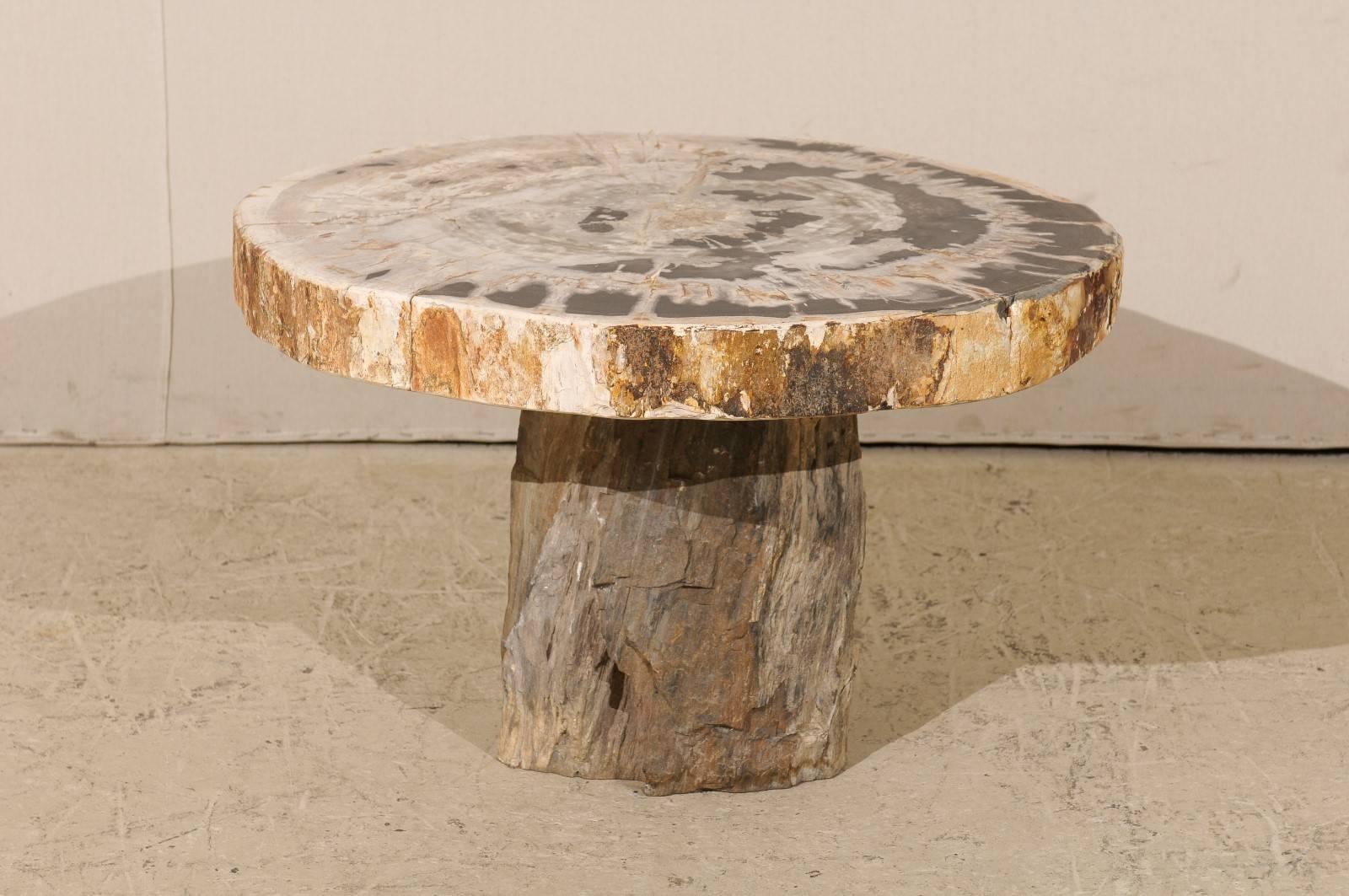Une table basse en bois pétrifié. Cette table basse en bois pétrifié présente un plateau de forme ronde sur une base de style piédestal. Le haut bicolore mélange les tons beige et noir. Le plateau se pose simplement sur la base. La table est très