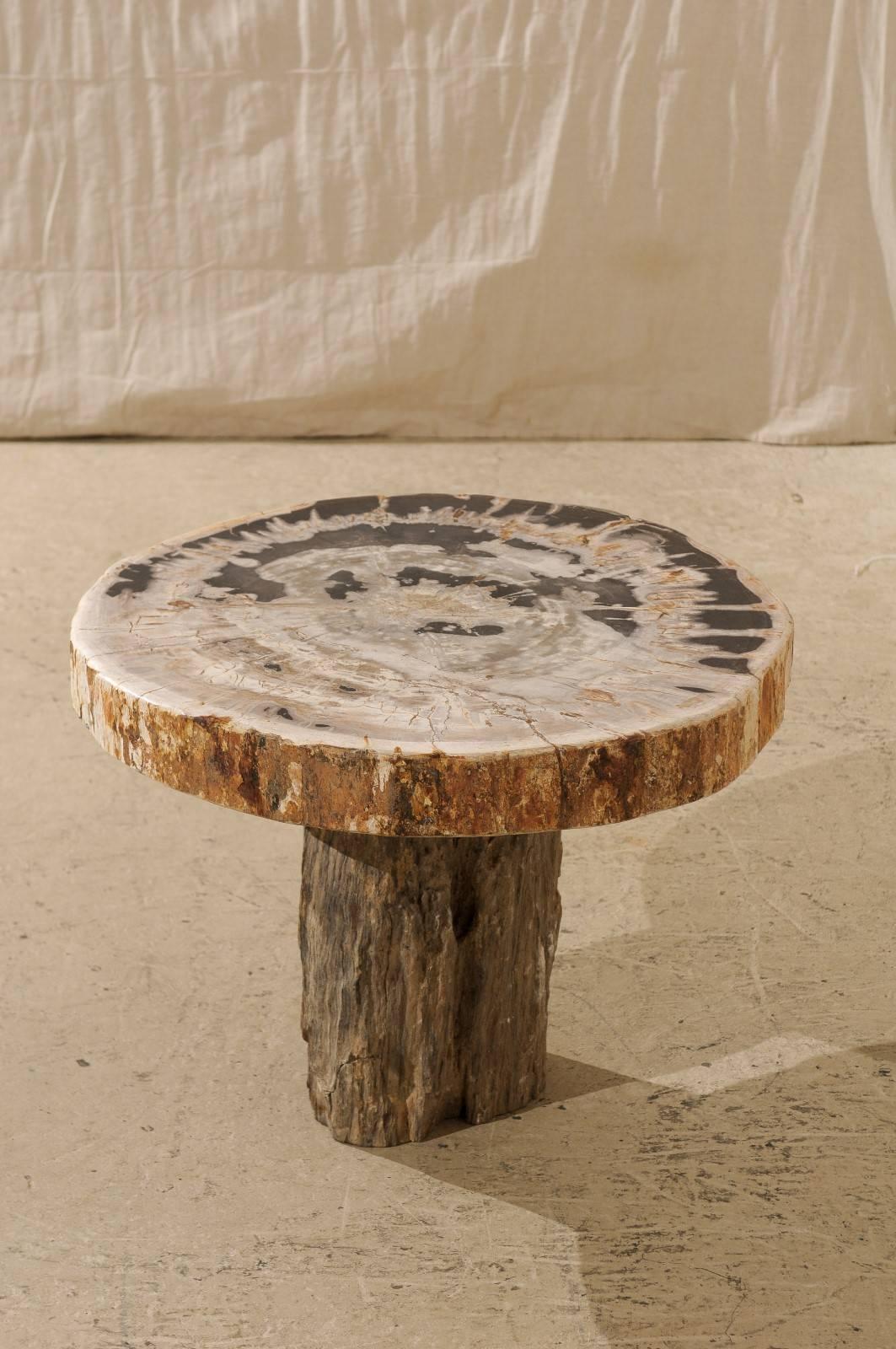 Indonésien Table basse à piédestal en bois pétrifié à bords vifs avec plateau de forme ronde pour la plupart en vente