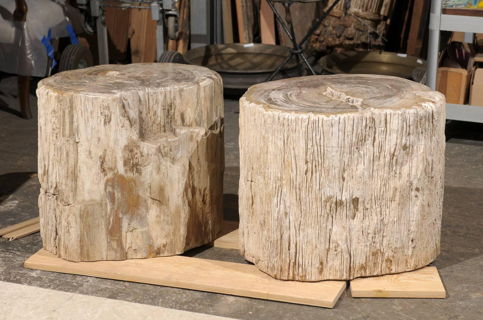 A pair of short yet wide petrified wood drinks, side tables. This pair of petrified wood drinks table’s features a beige color with light grey veins. While the sides show a rougher finish, the tops have been polished. Petrified wood is a fossil.
