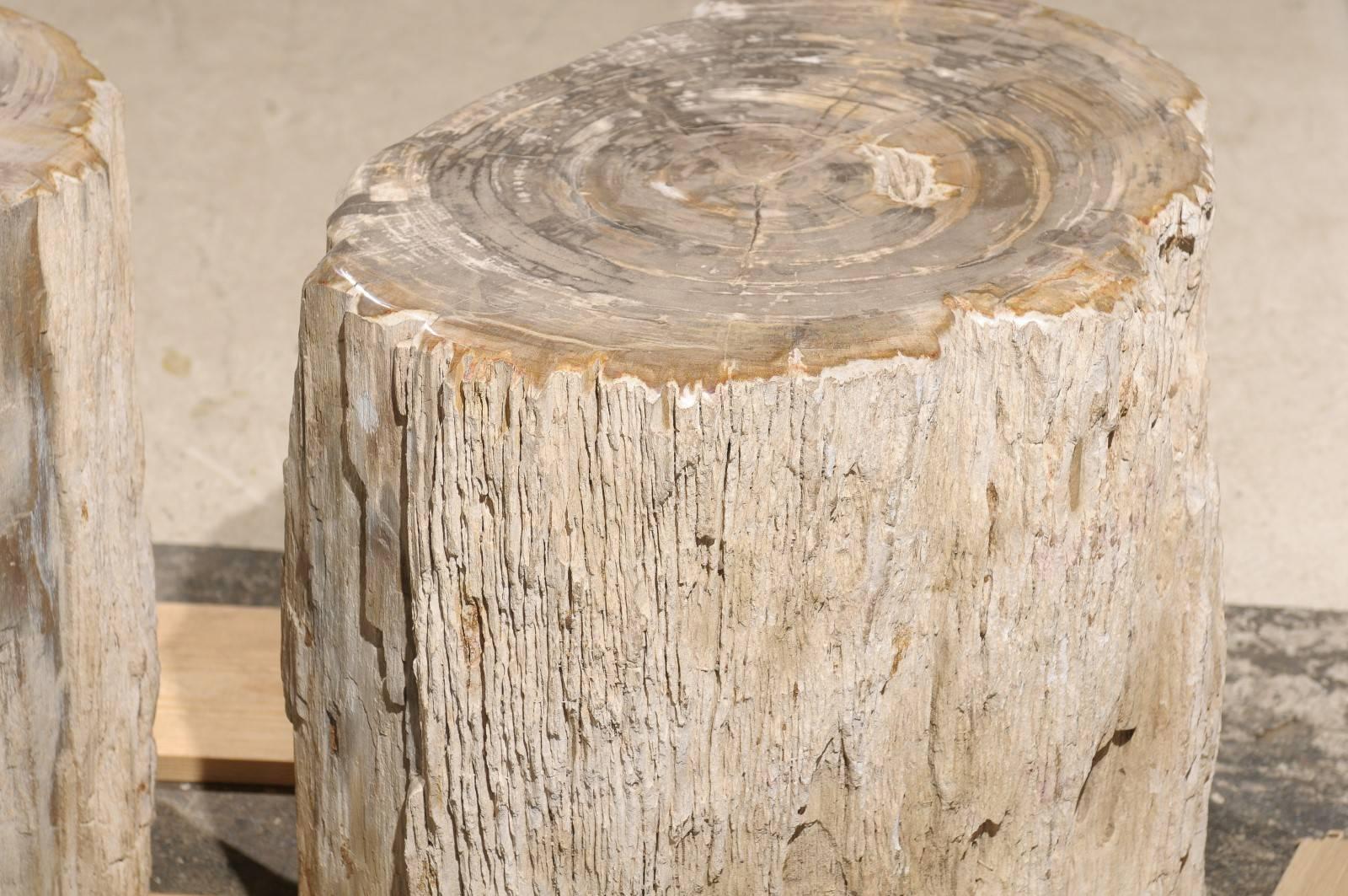 Pair of Short and Wide Petrified Wood Side or Drink Tables in Beige & Light Grey 1