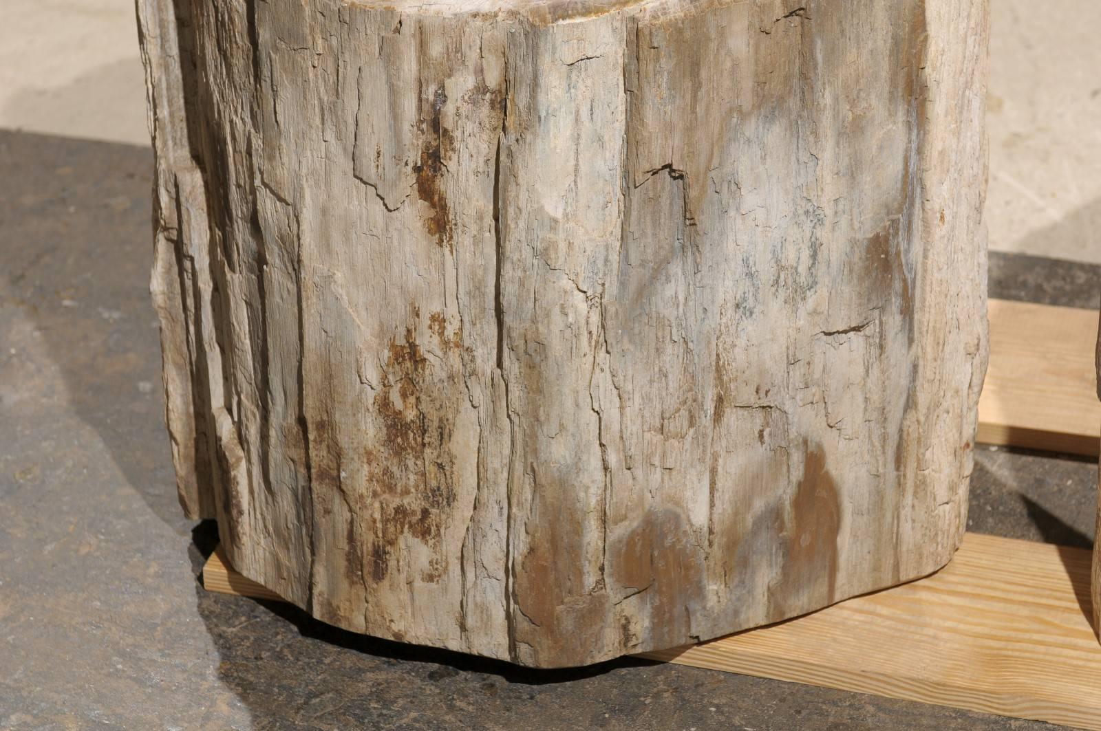 20th Century Pair of Short and Wide Petrified Wood Side or Drink Tables in Beige & Light Grey