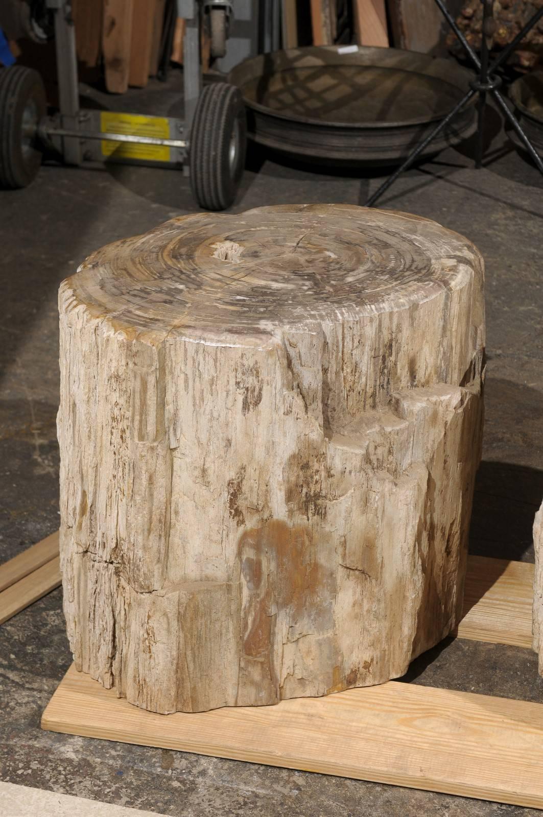 Polished Pair of Short and Wide Petrified Wood Side or Drink Tables in Beige & Light Grey