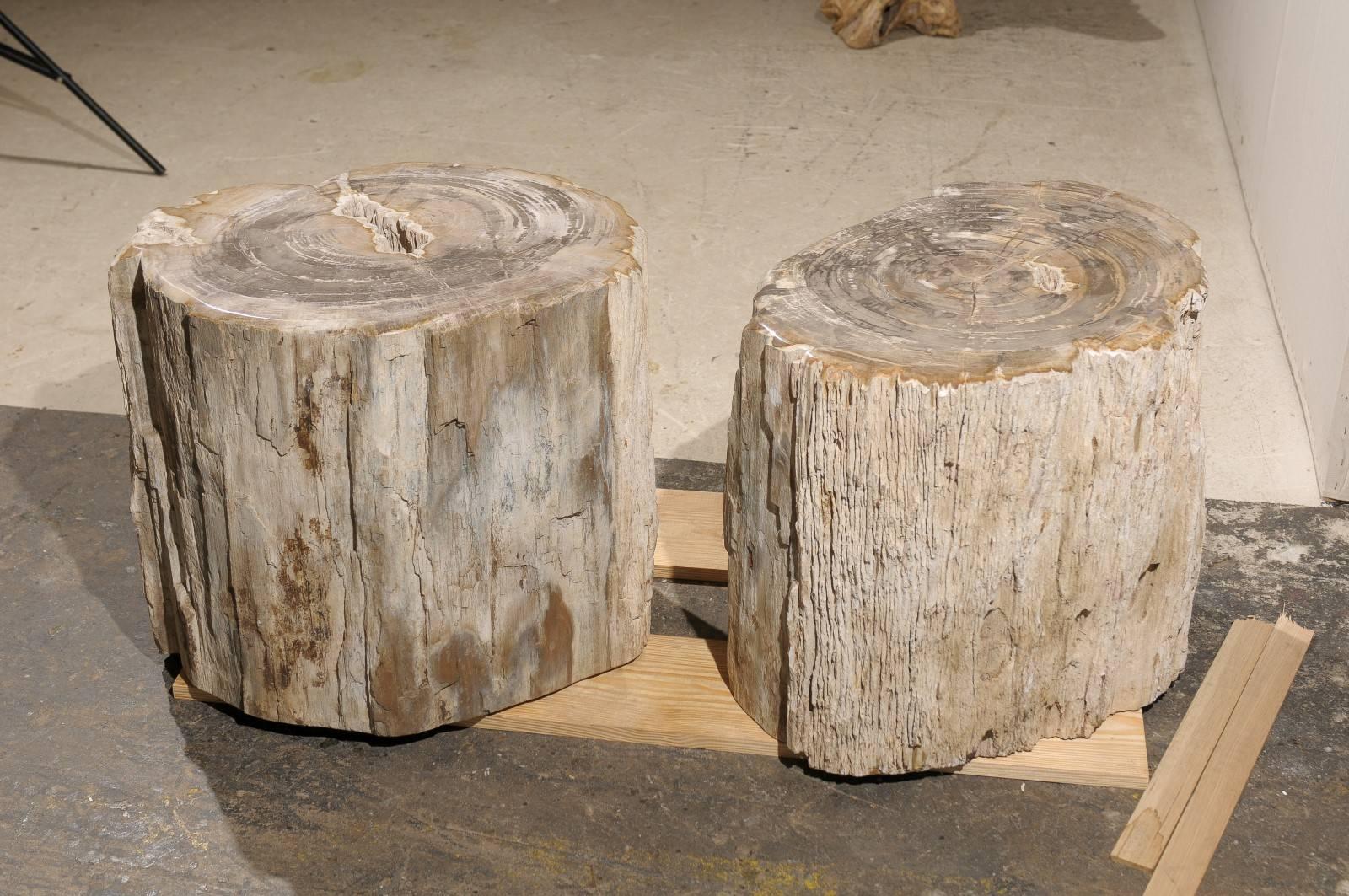 Indonesian Pair of Short and Wide Petrified Wood Side or Drink Tables in Beige & Light Grey