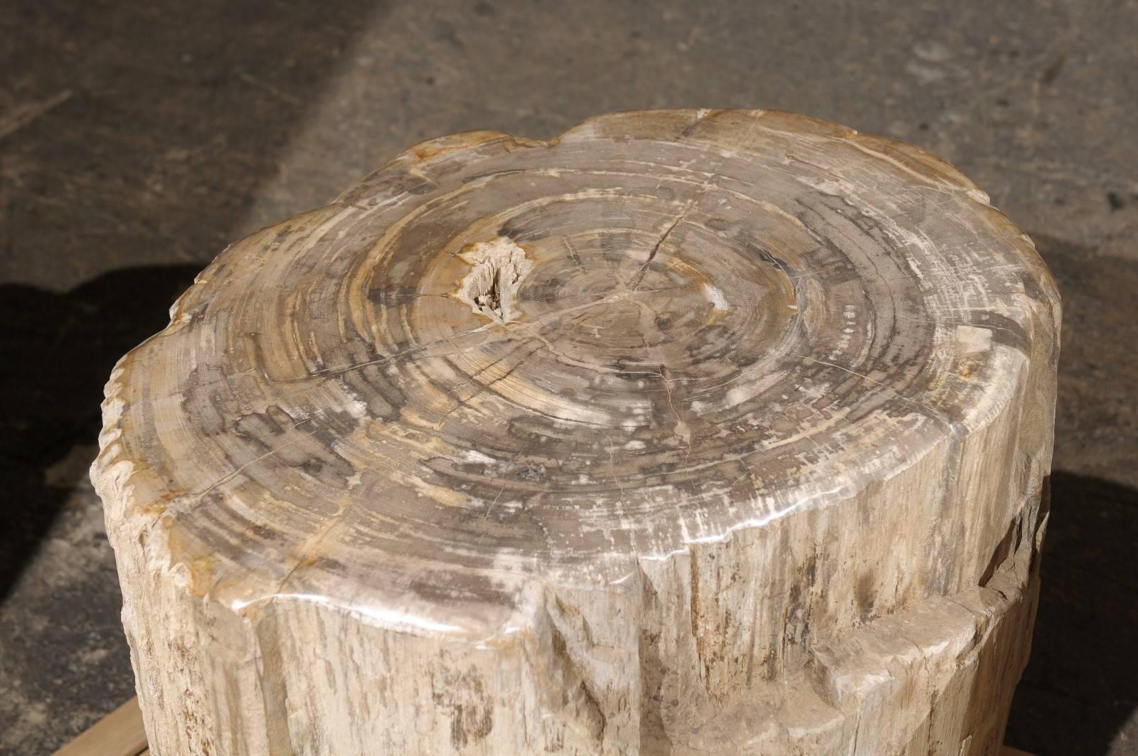 Pair of Short and Wide Petrified Wood Side or Drink Tables in Beige & Light Grey 3