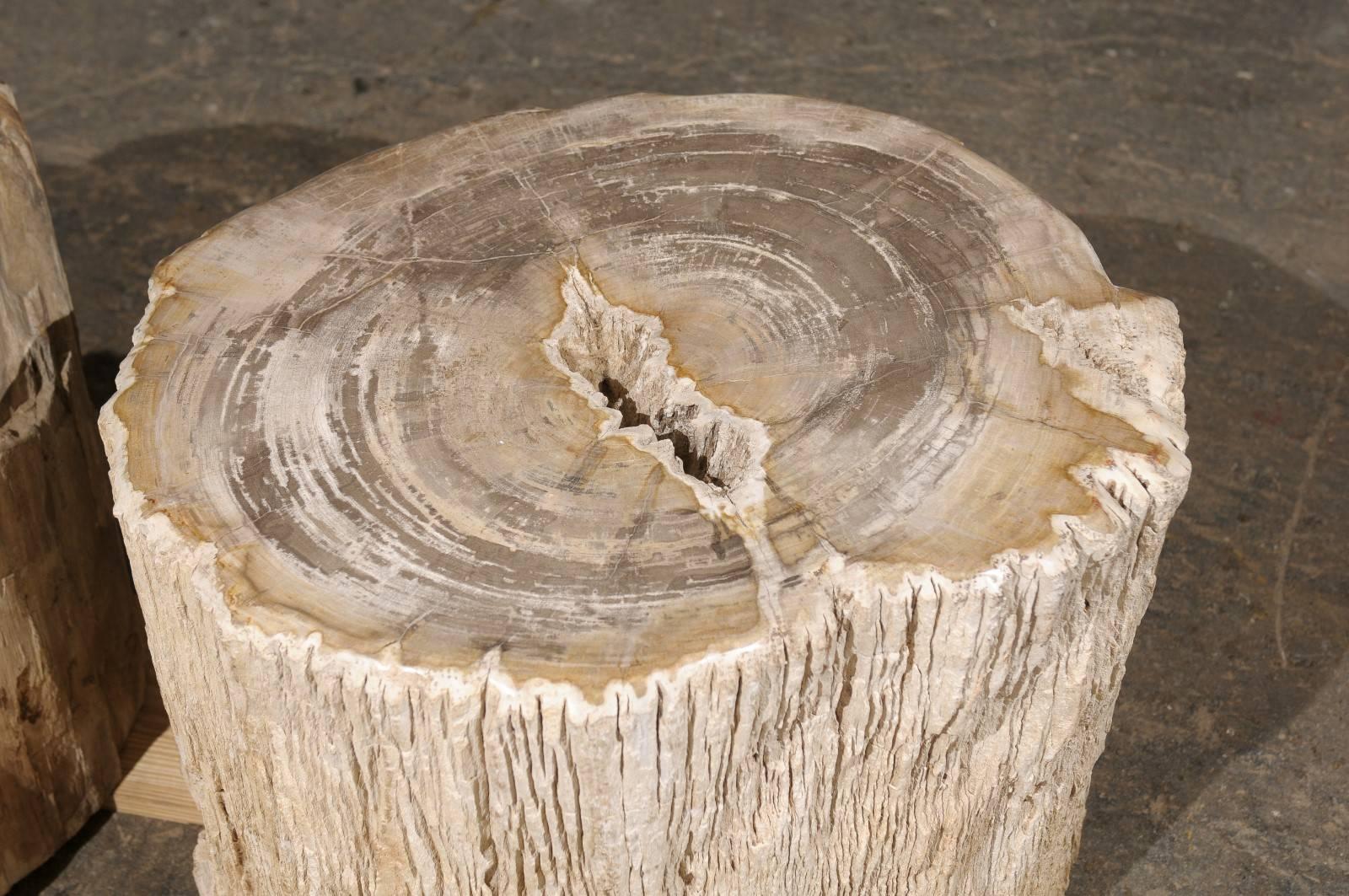 Pair of Short and Wide Petrified Wood Side or Drink Tables in Beige & Light Grey 2