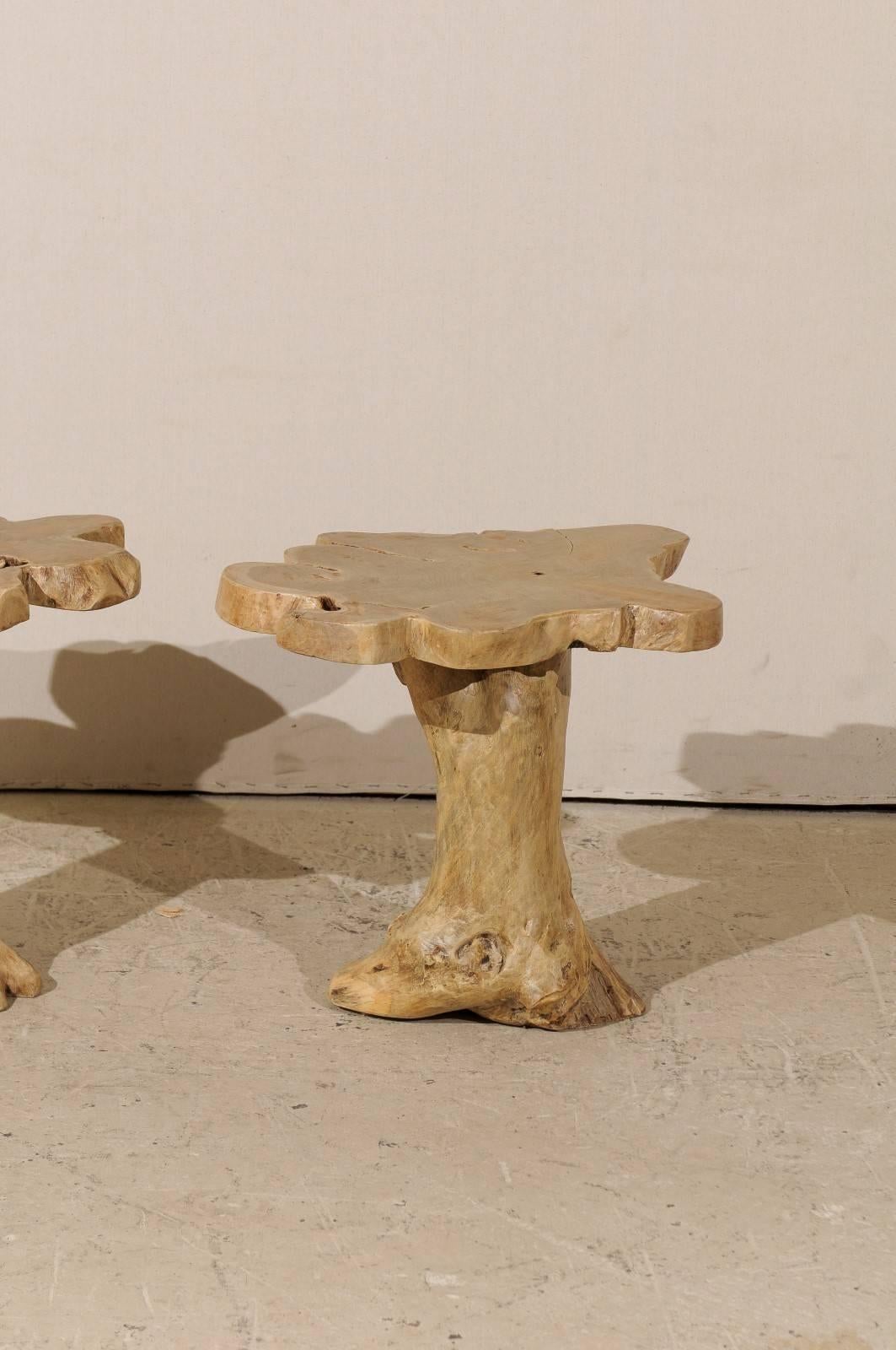 Pair of Teak Root Drink or Side Tables with Natural Finish from India, Tan Color 1