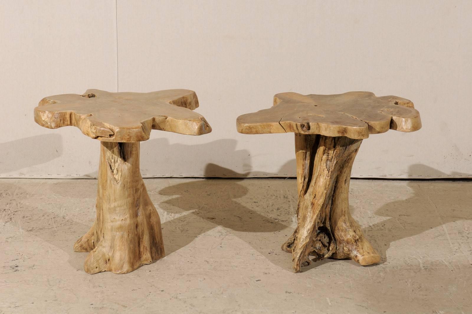 A pair of Indian bleached teak root drinks or side tables. This whimsical pair tables have been made out of recycled teak roots which have been bleached. With their one of a kind shape and natural soft tan / brown color, this pair of Indian drinks