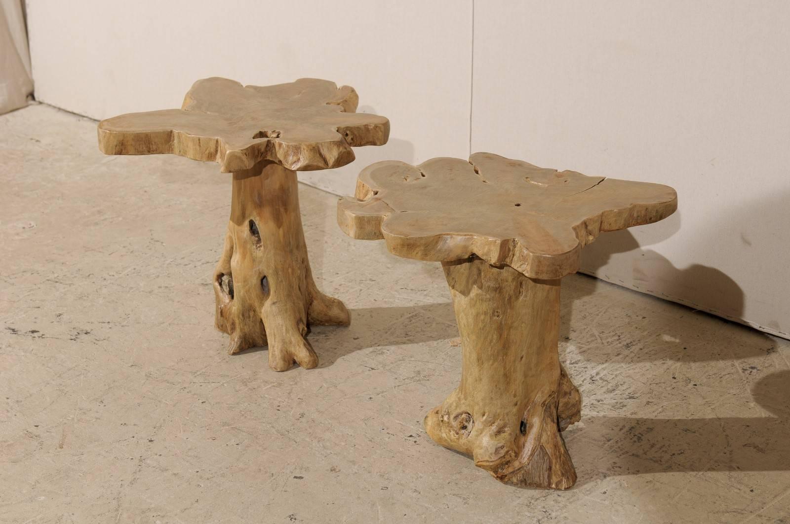 Bleached Pair of Teak Root Drink or Side Tables with Natural Finish from India, Tan Color