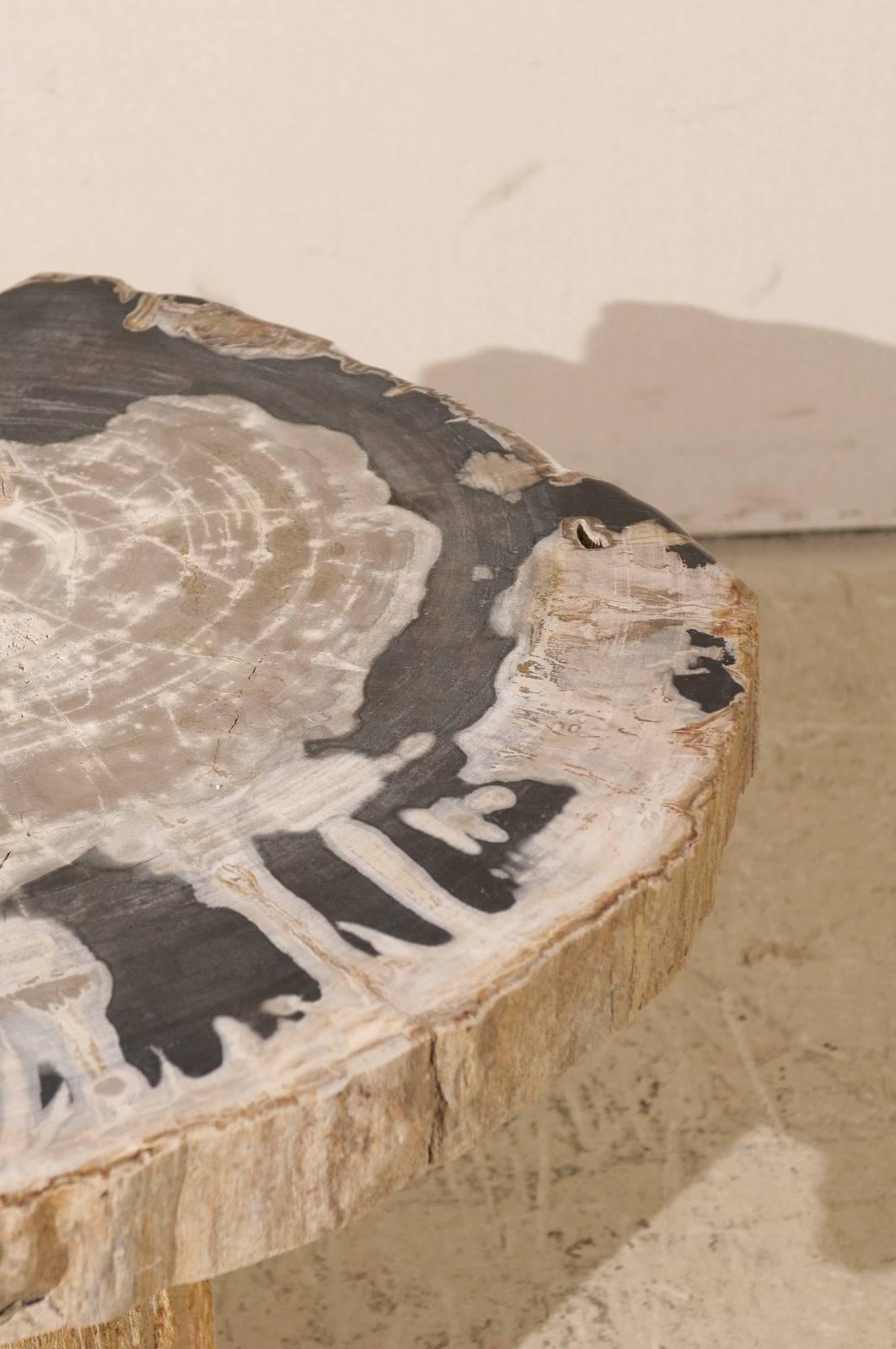 20th Century Natural Petrified Wood Coffee, Drink or Side Table in Black, White and Grey