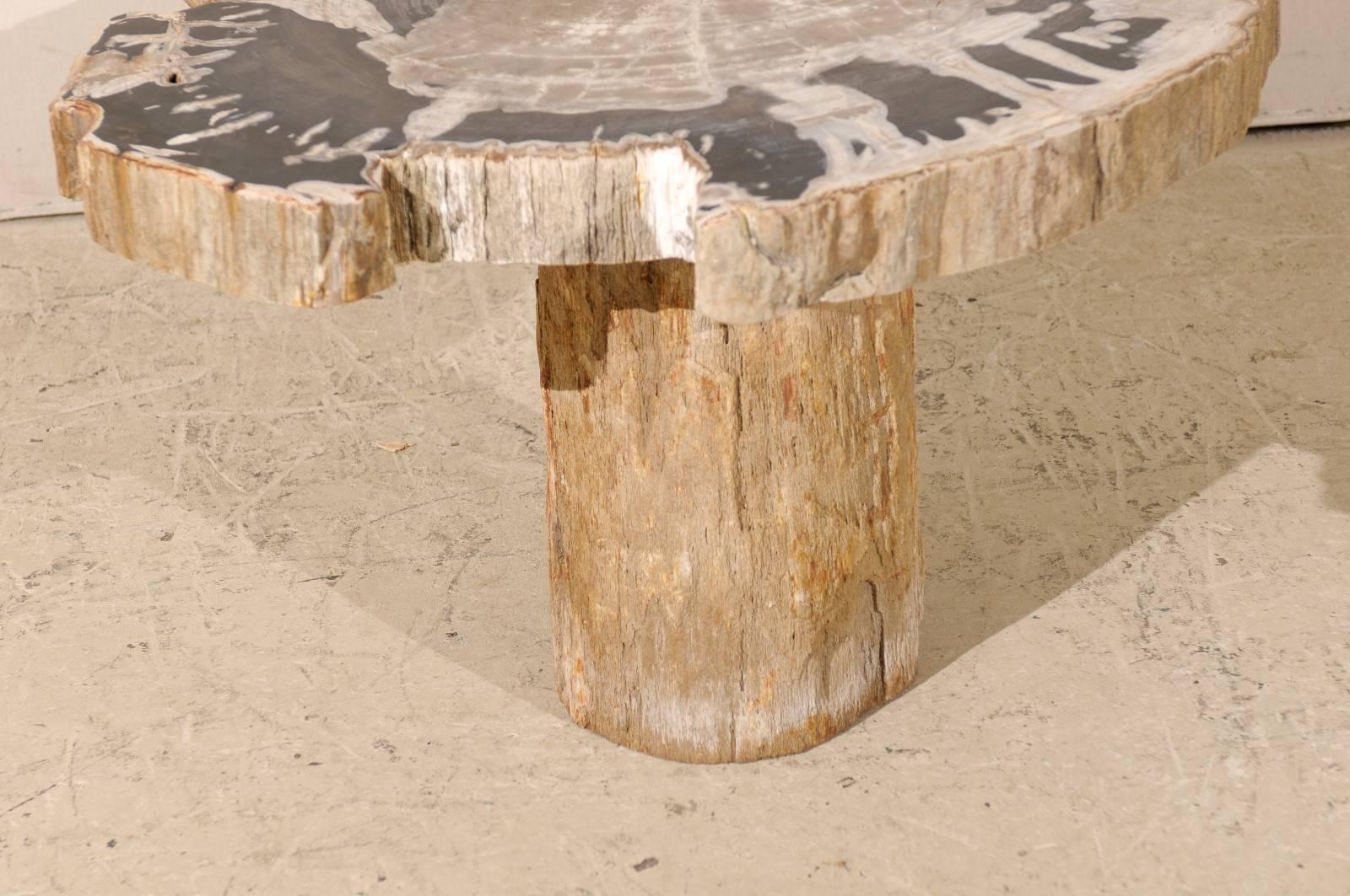 Natural Petrified Wood Coffee, Drink or Side Table in Black, White and Grey 1