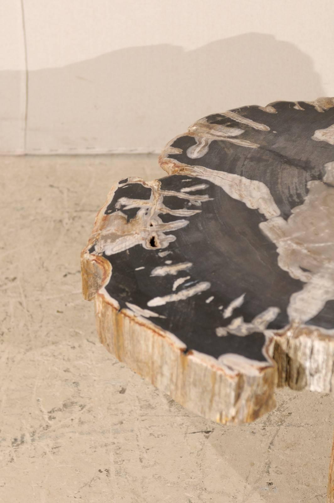 Natural Petrified Wood Coffee, Drink or Side Table in Black, White and Grey In Good Condition In Atlanta, GA