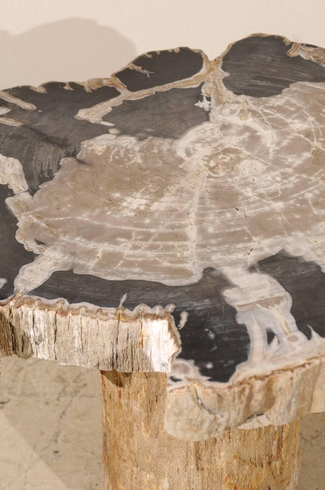 Natural Petrified Wood Coffee, Drink or Side Table in Black, White and Grey 2