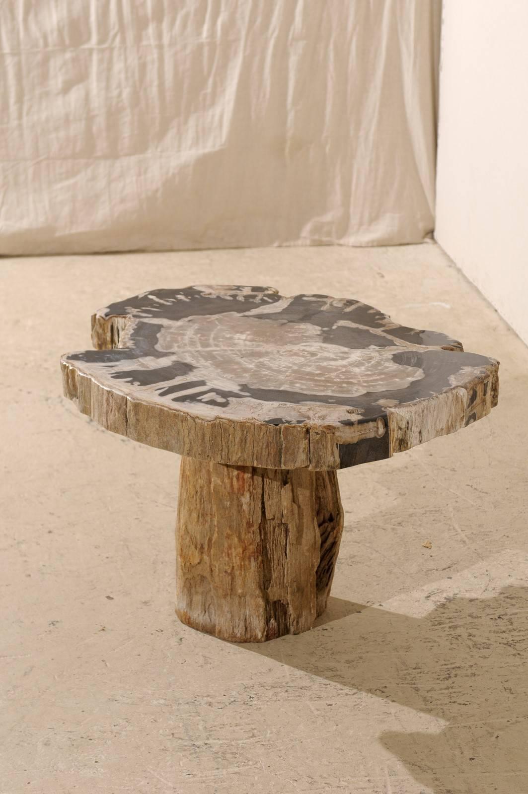 petrified wood coffee table for sale