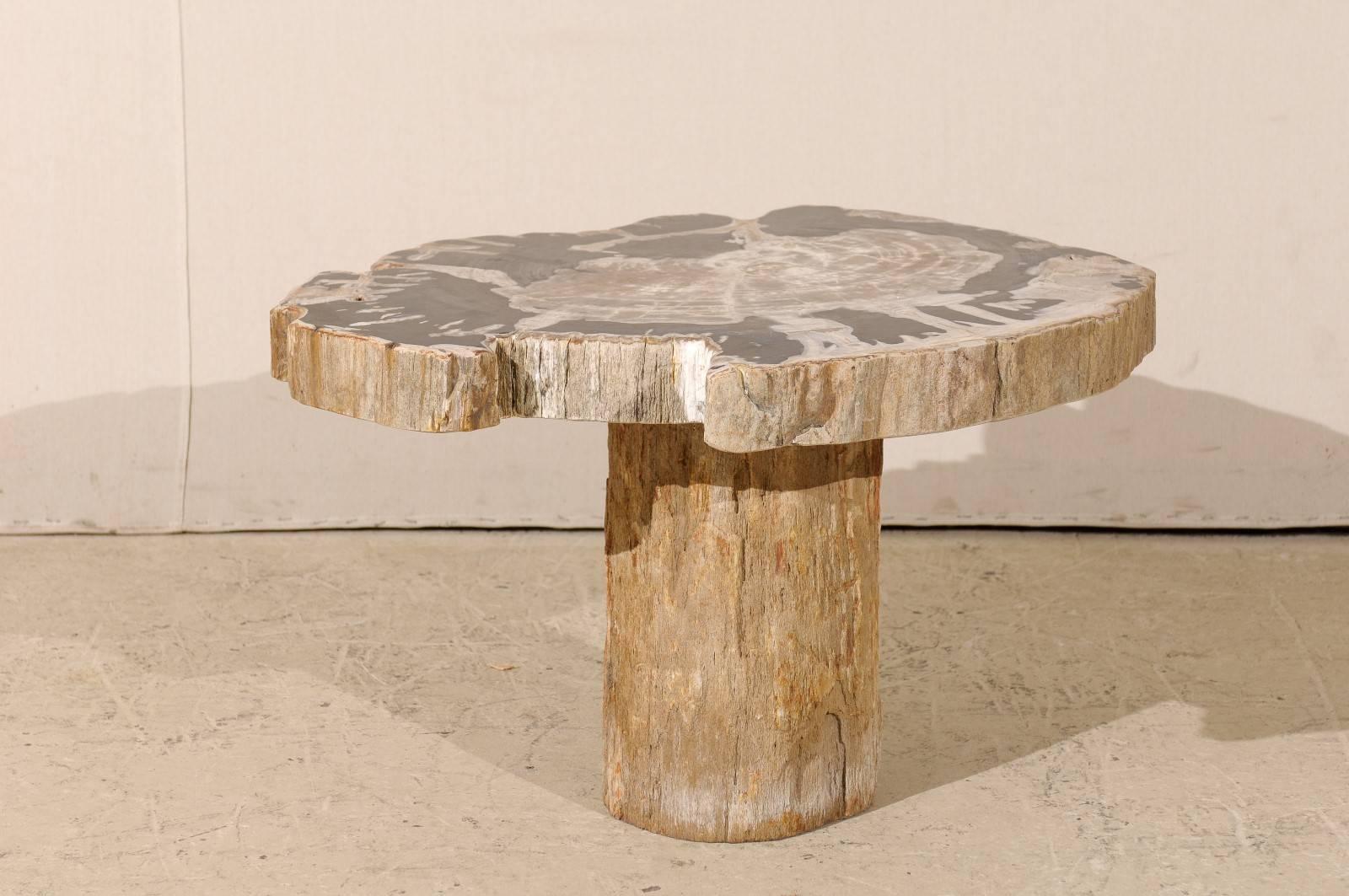 A petrified wood coffee, drink or side table. This cute sized petrified wood table has a wonderful top with a nice, natural shape and sleek colors. These colors include black, white, grey, tan and warm brown. This piece would work really well in a
