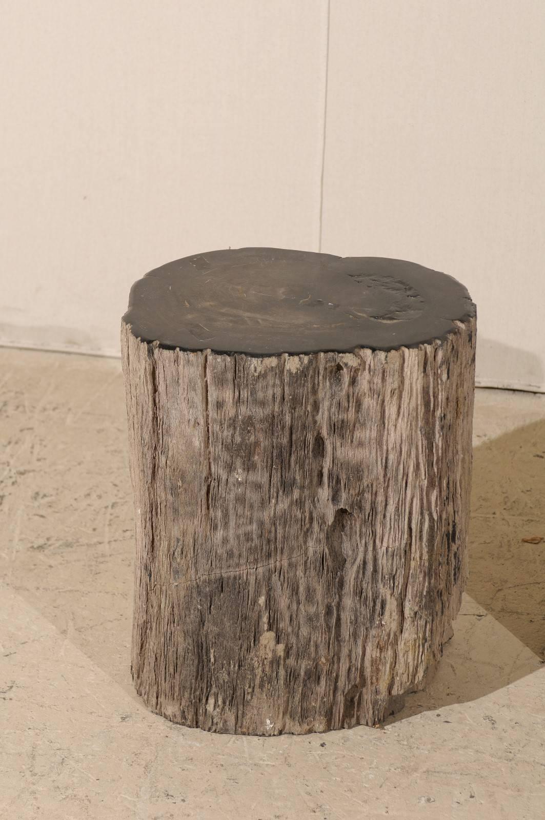 Pair of Black Petrified Wood Fossil Drink or Side Tables, Natural, Polished Wood In Good Condition In Atlanta, GA