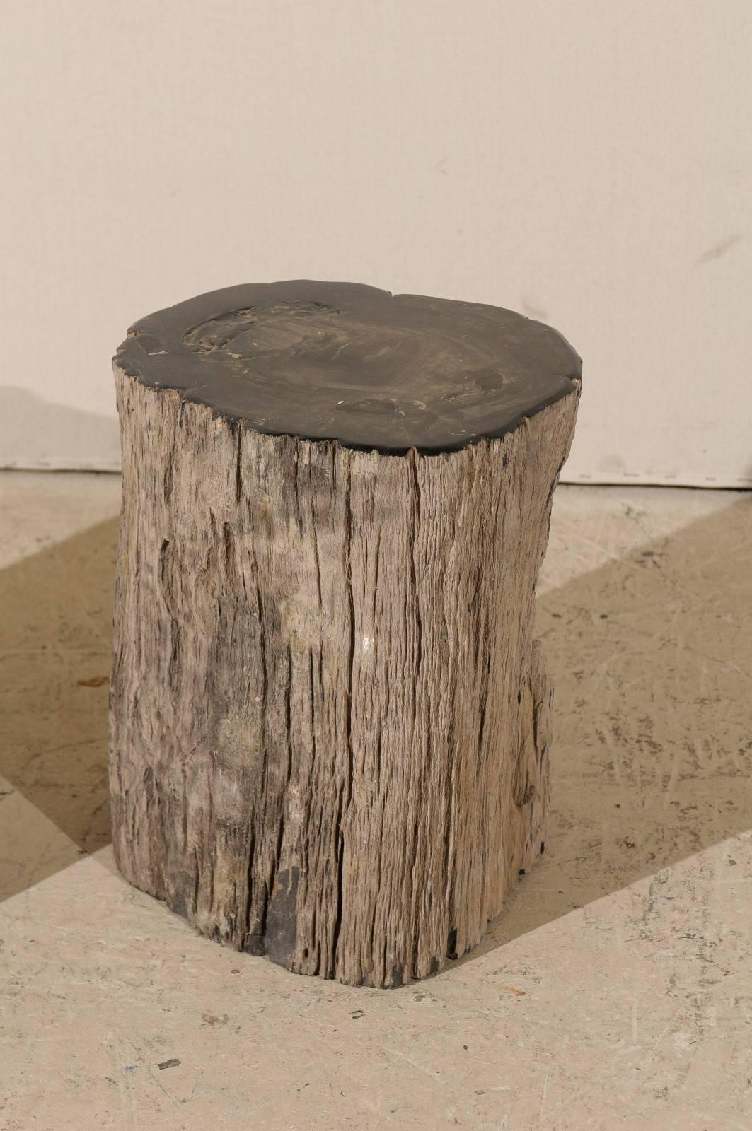 20th Century Pair of Black Petrified Wood Fossil Drink or Side Tables, Natural, Polished Wood