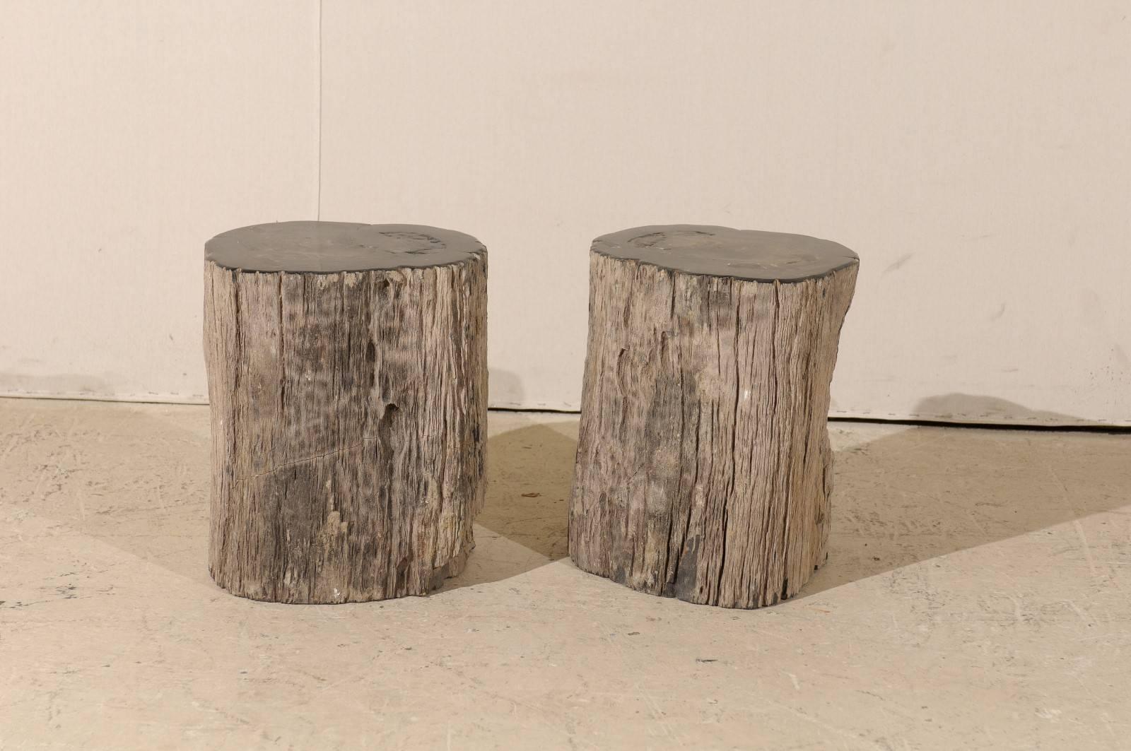 A pair of black color petrified wood drinks tables. This pair of petrified wood drinks table’s features a polished black top with rougher brown color sides. Petrified wood is a fossil. Over time, the petrified wood becomes so sturdy and dense that