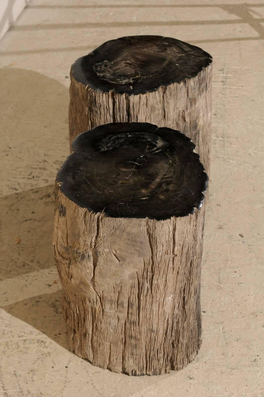 Pair of Black Petrified Wood Fossil Drink or Side Tables, Natural, Polished Wood 1