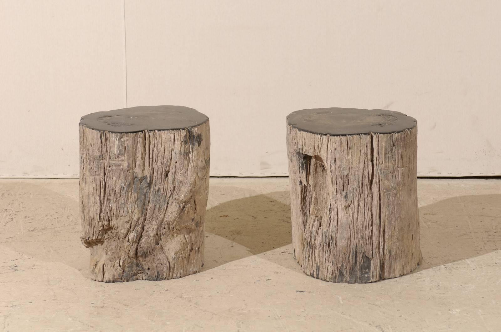 Indonesian Pair of Black Petrified Wood Fossil Drink or Side Tables, Natural, Polished Wood